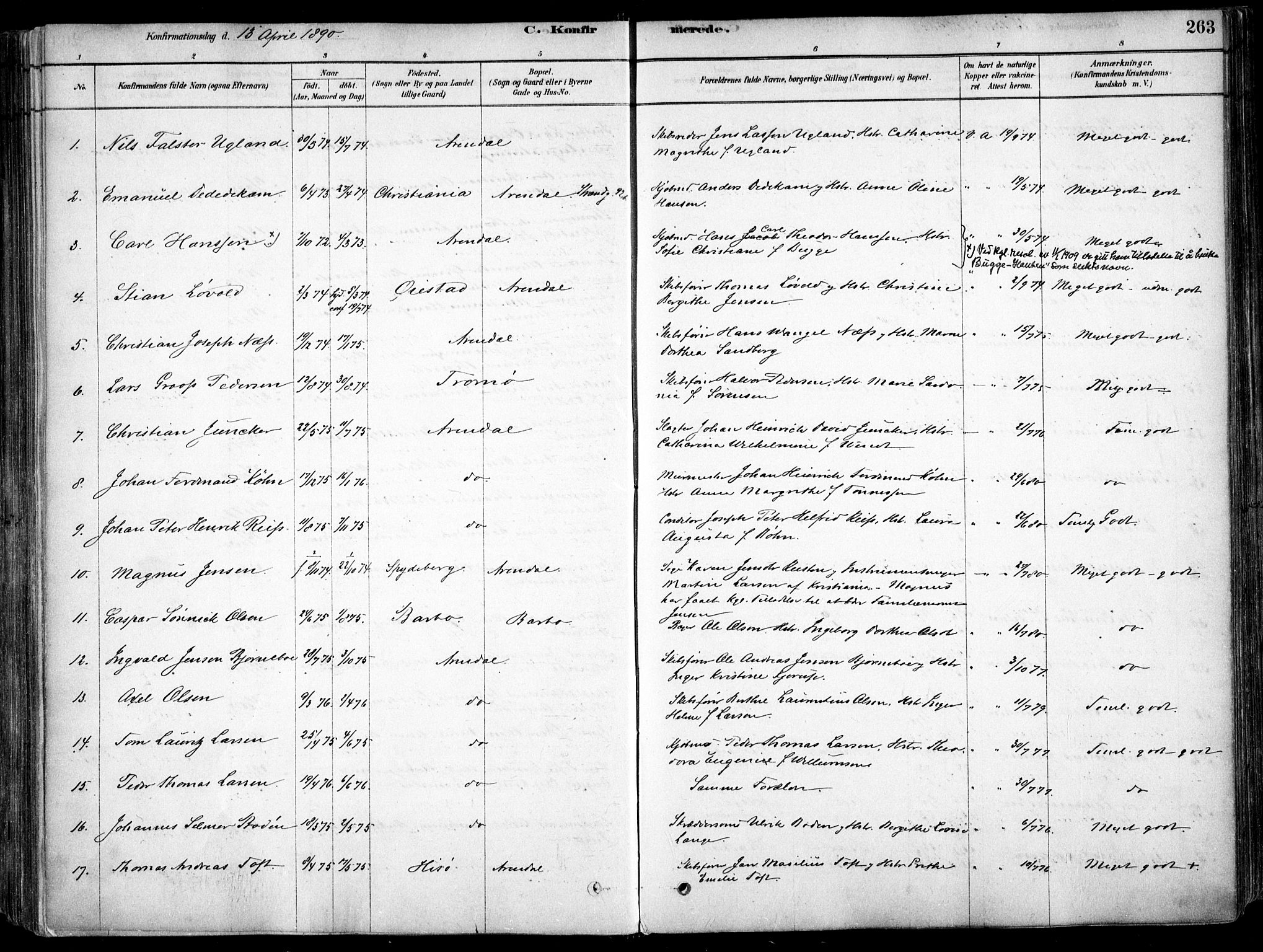 Arendal sokneprestkontor, Trefoldighet, SAK/1111-0040/F/Fa/L0008: Parish register (official) no. A 8, 1878-1899, p. 263