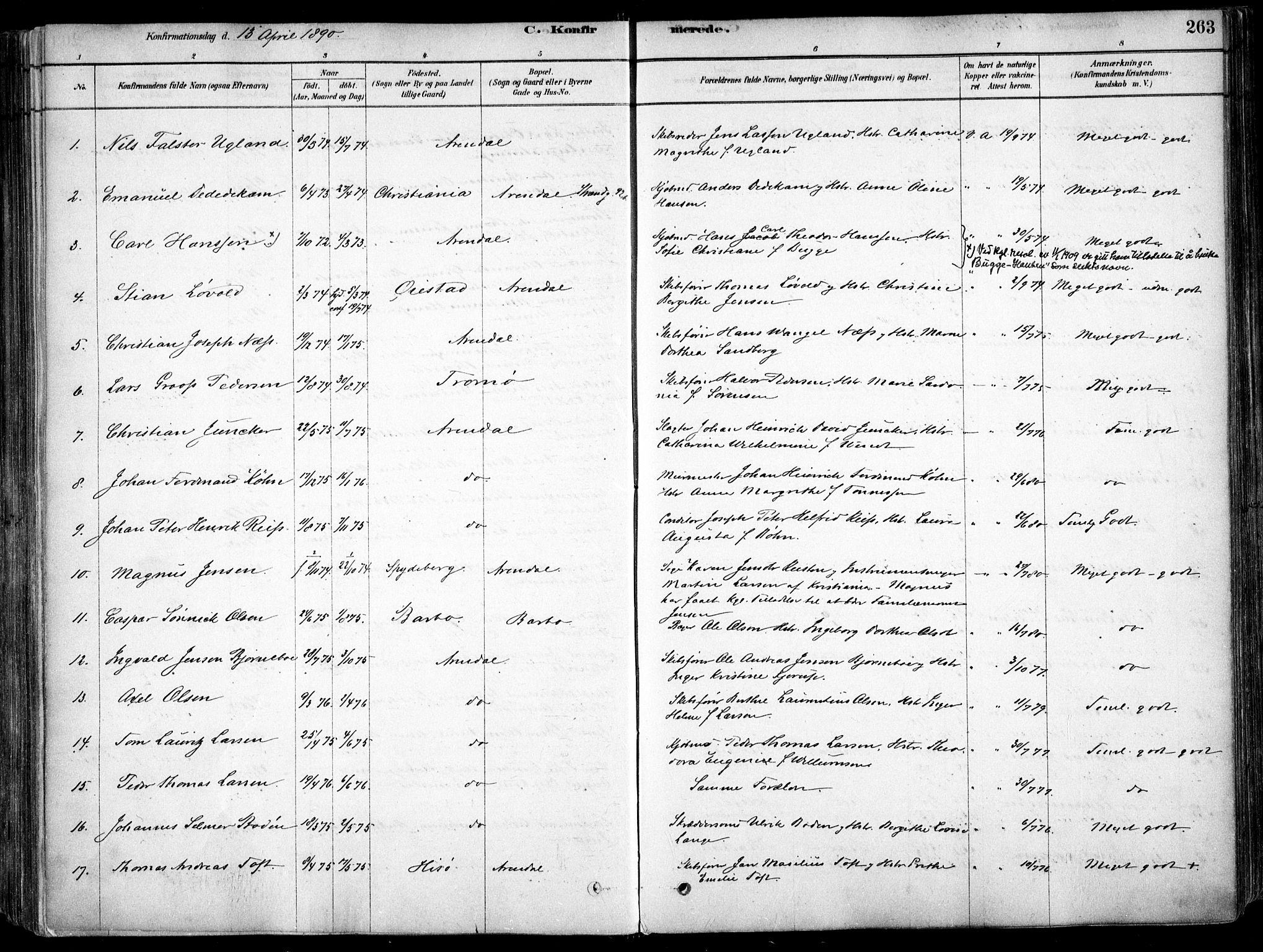 Arendal sokneprestkontor, Trefoldighet, AV/SAK-1111-0040/F/Fa/L0008: Parish register (official) no. A 8, 1878-1899, p. 263