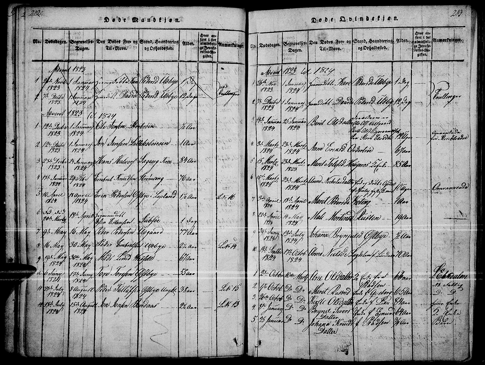 Tynset prestekontor, SAH/PREST-058/H/Ha/Haa/L0018: Parish register (official) no. 18, 1815-1829, p. 212-213