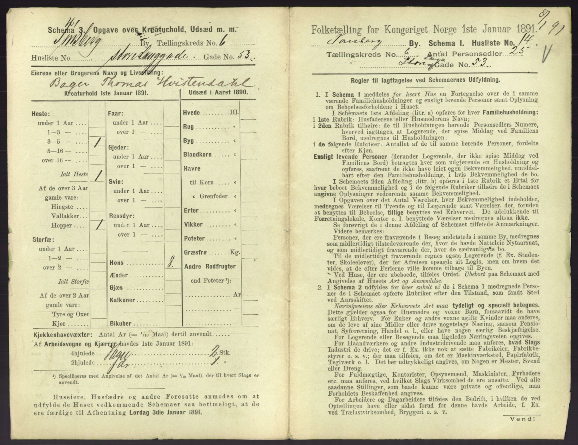 RA, 1891 census for 0705 Tønsberg, 1891, p. 268