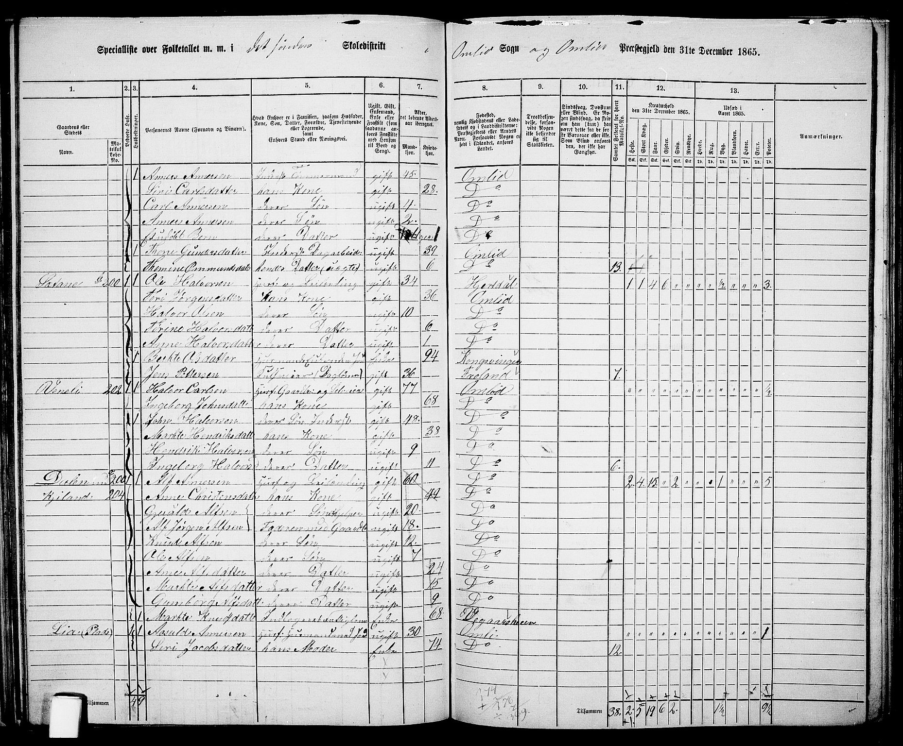 RA, 1865 census for Åmli, 1865, p. 62