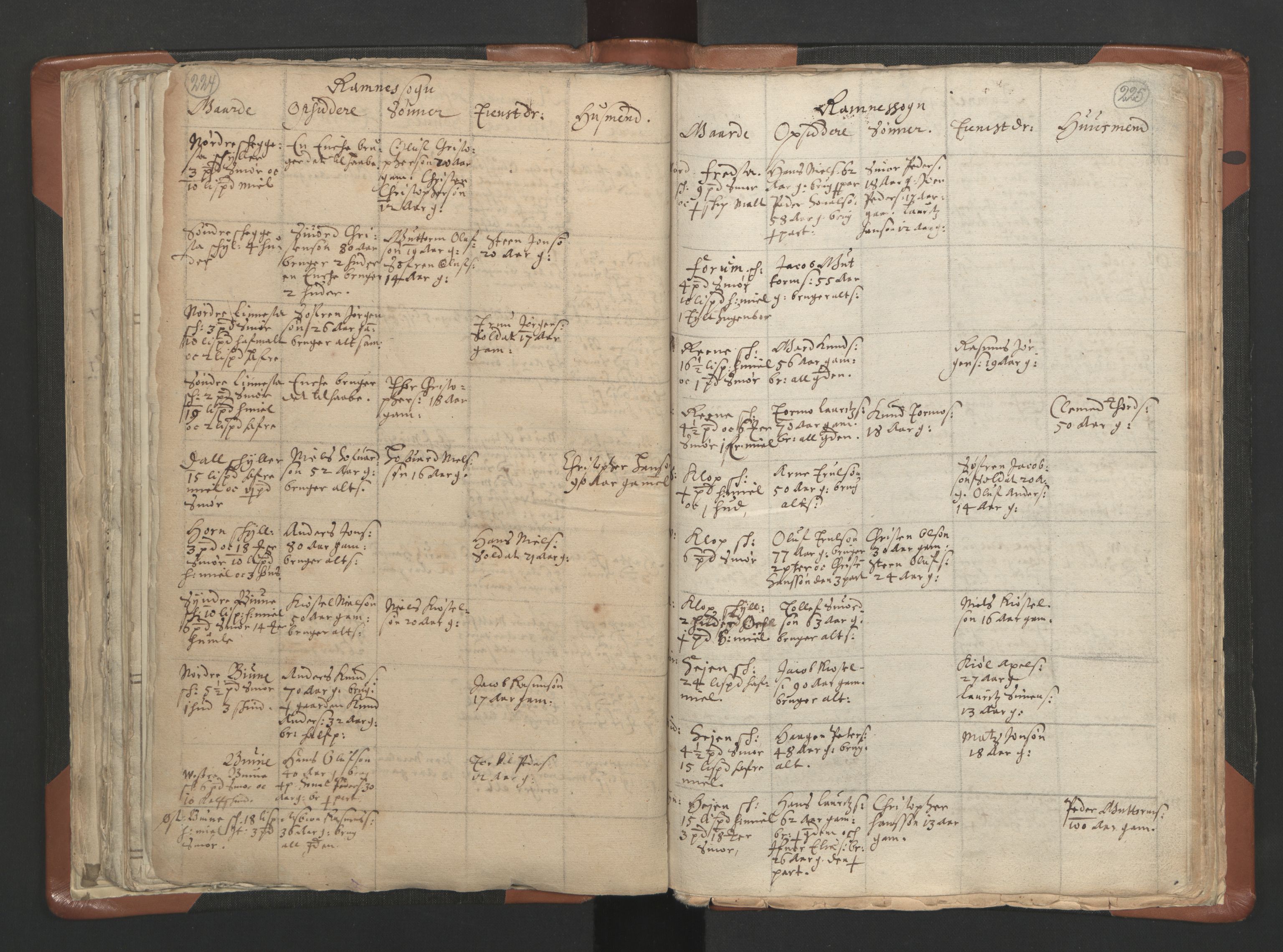 RA, Vicar's Census 1664-1666, no. 10: Tønsberg deanery, 1664-1666, p. 224-225