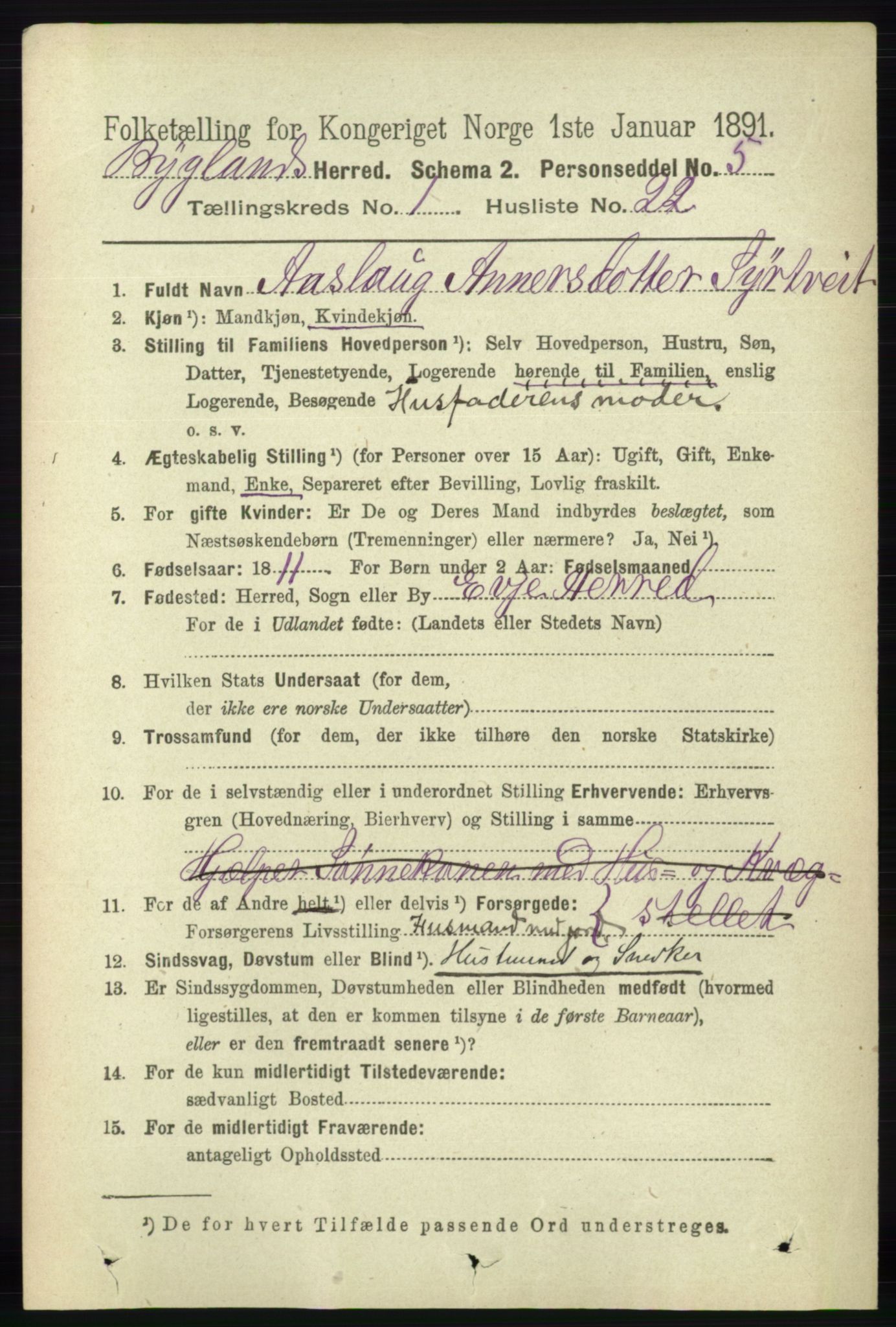 RA, 1891 census for 0938 Bygland, 1891, p. 209