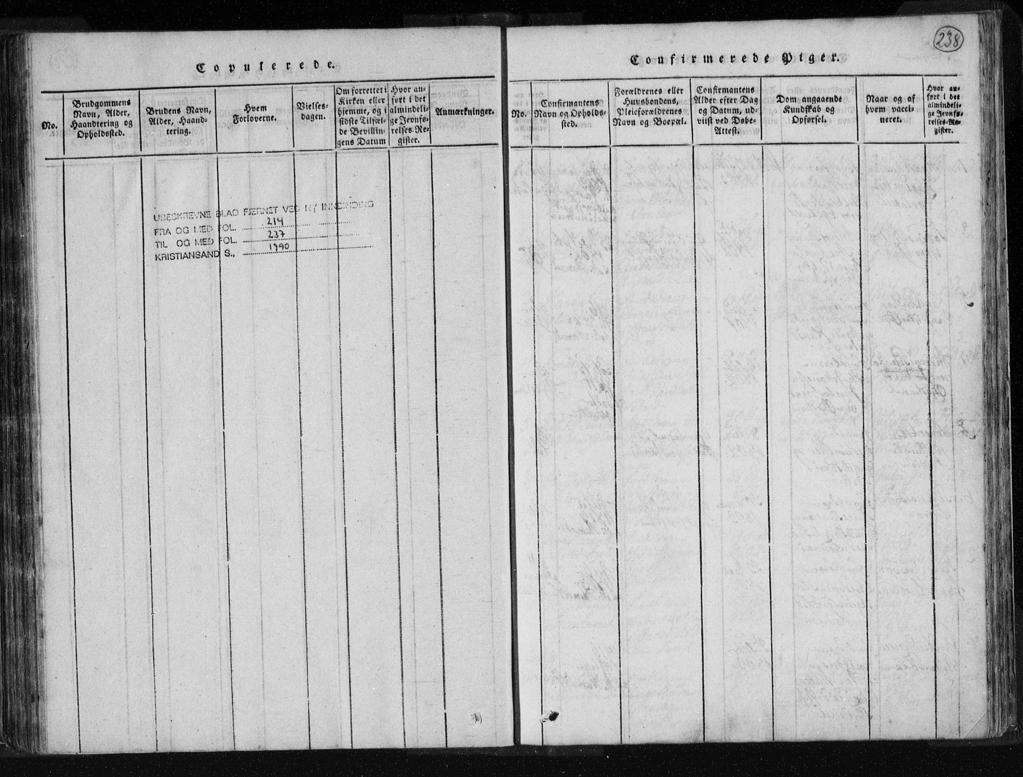 Kvinesdal sokneprestkontor, SAK/1111-0026/F/Fa/Fab/L0003: Parish register (official) no. A 3, 1815-1829, p. 238