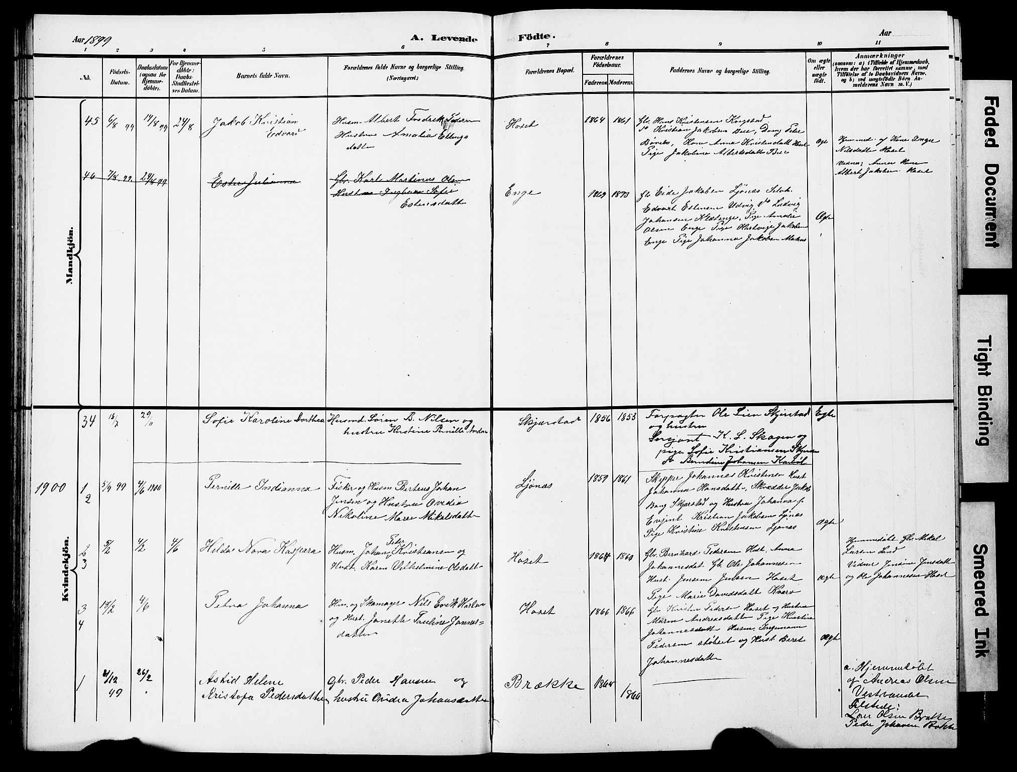 Ministerialprotokoller, klokkerbøker og fødselsregistre - Nordland, AV/SAT-A-1459/852/L0755: Parish register (copy) no. 852C06, 1895-1902