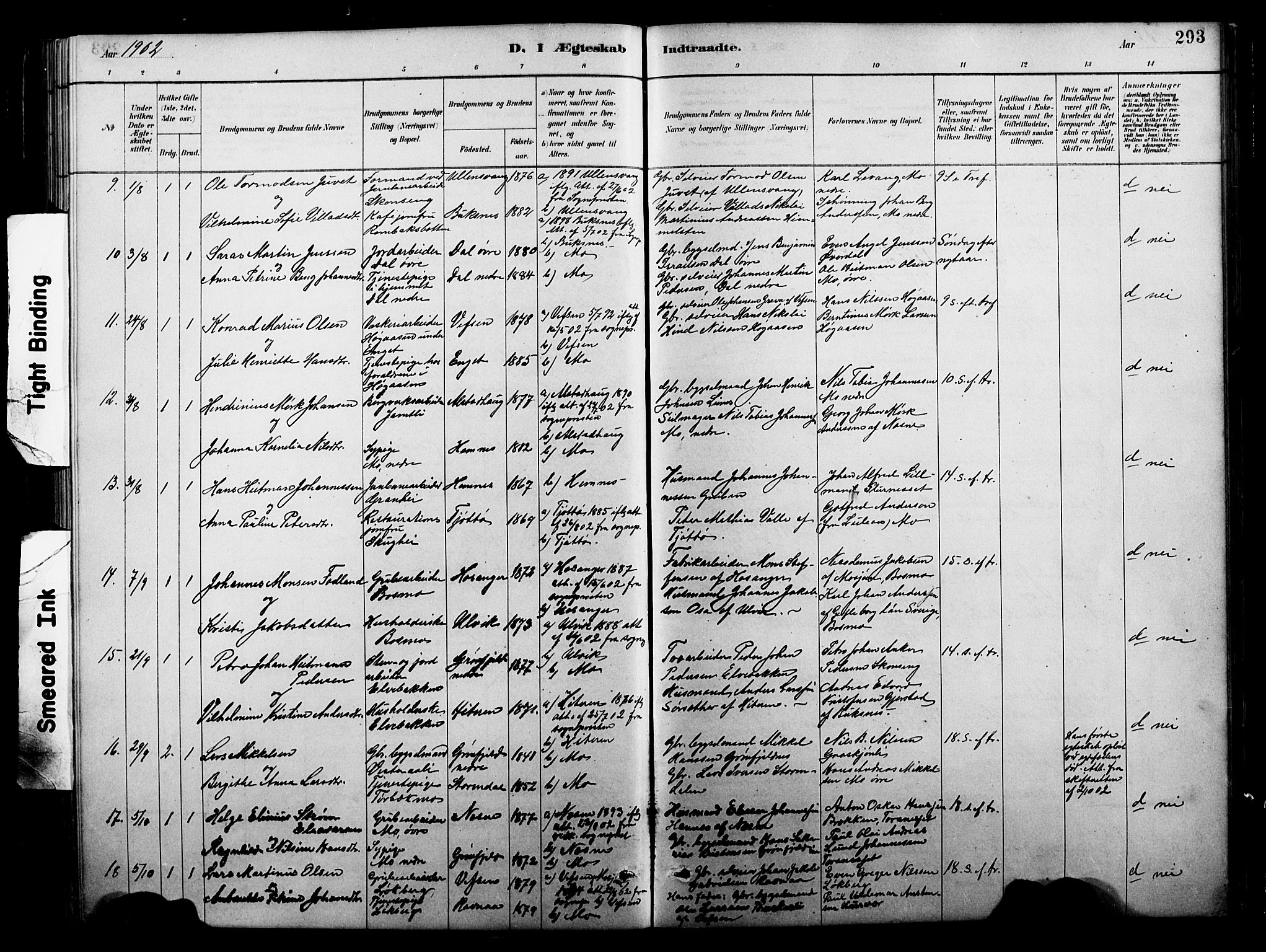 Ministerialprotokoller, klokkerbøker og fødselsregistre - Nordland, SAT/A-1459/827/L0421: Parish register (copy) no. 827C10, 1887-1906, p. 293
