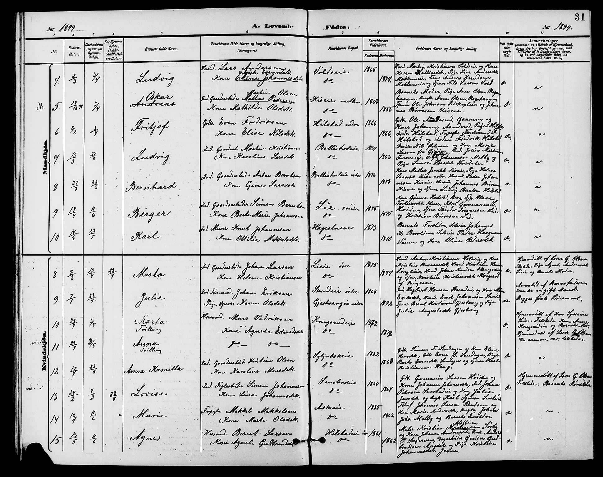 Nes prestekontor, Hedmark, AV/SAH-PREST-020/L/La/L0007: Parish register (copy) no. 7, 1892-1912, p. 31