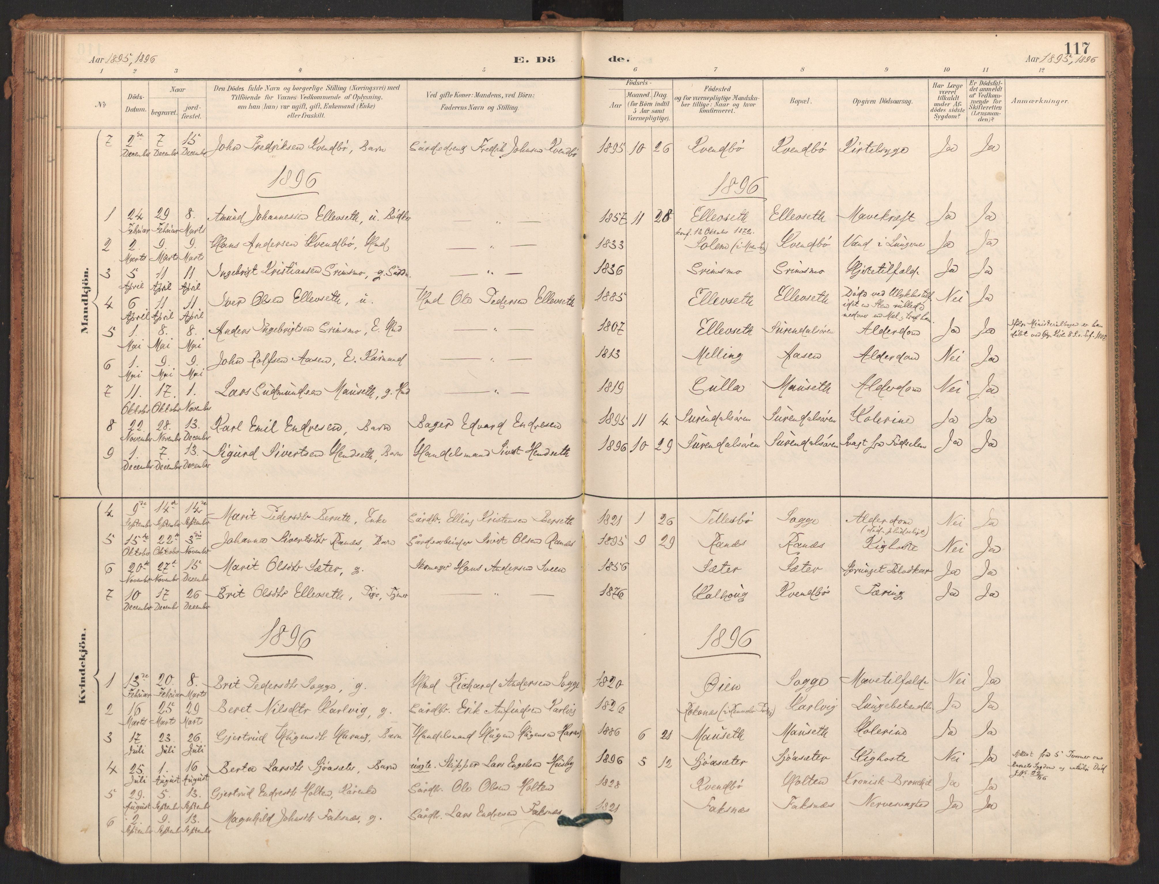 Ministerialprotokoller, klokkerbøker og fødselsregistre - Møre og Romsdal, AV/SAT-A-1454/596/L1056: Parish register (official) no. 596A01, 1885-1900, p. 117