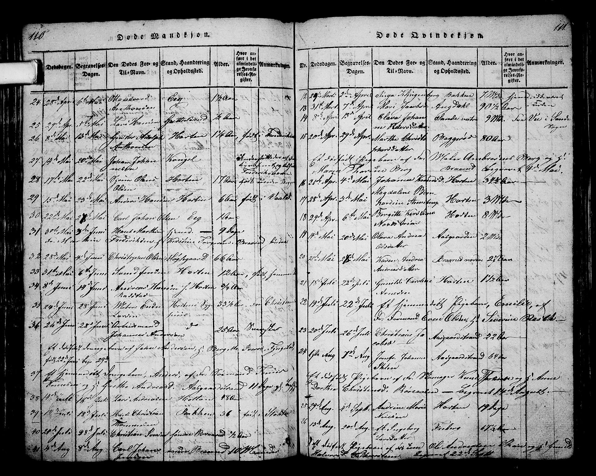 Borre kirkebøker, AV/SAKO-A-338/G/Ga/L0001: Parish register (copy) no. I 1, 1815-1851, p. 110-111