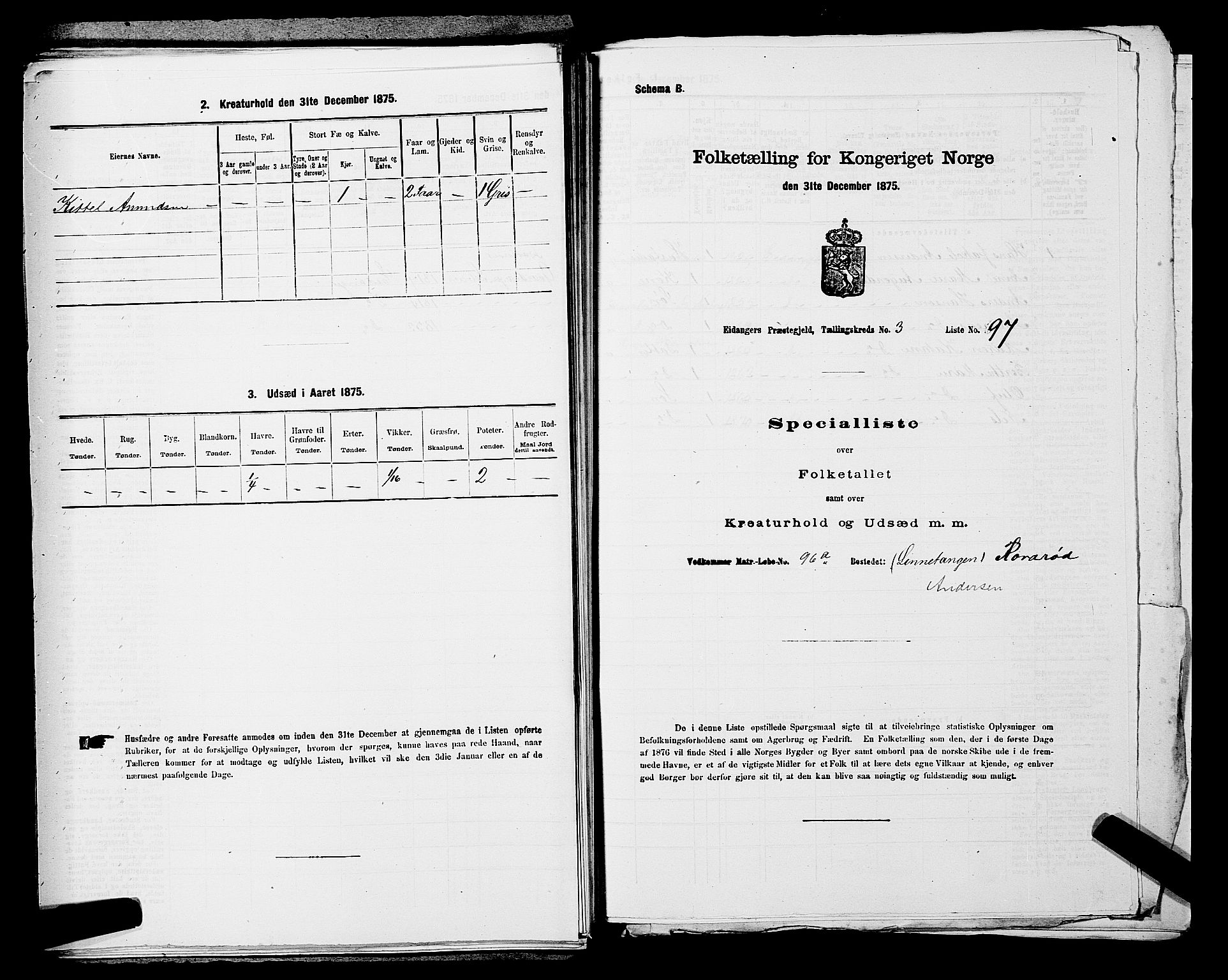 SAKO, 1875 census for 0813P Eidanger, 1875, p. 676