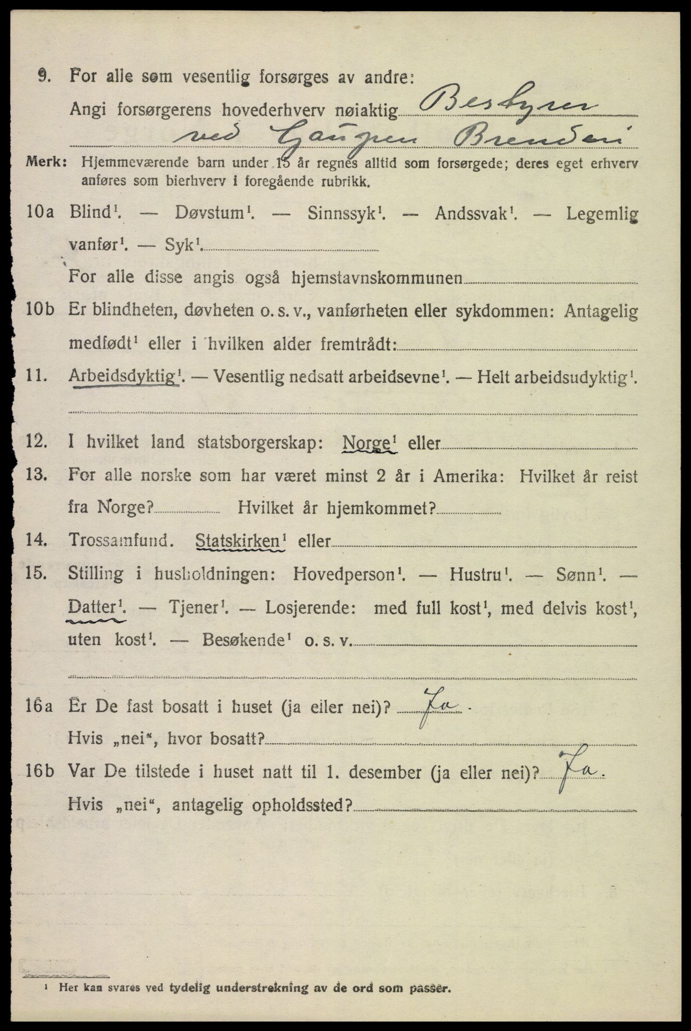 SAH, 1920 census for Ringsaker, 1920, p. 8571