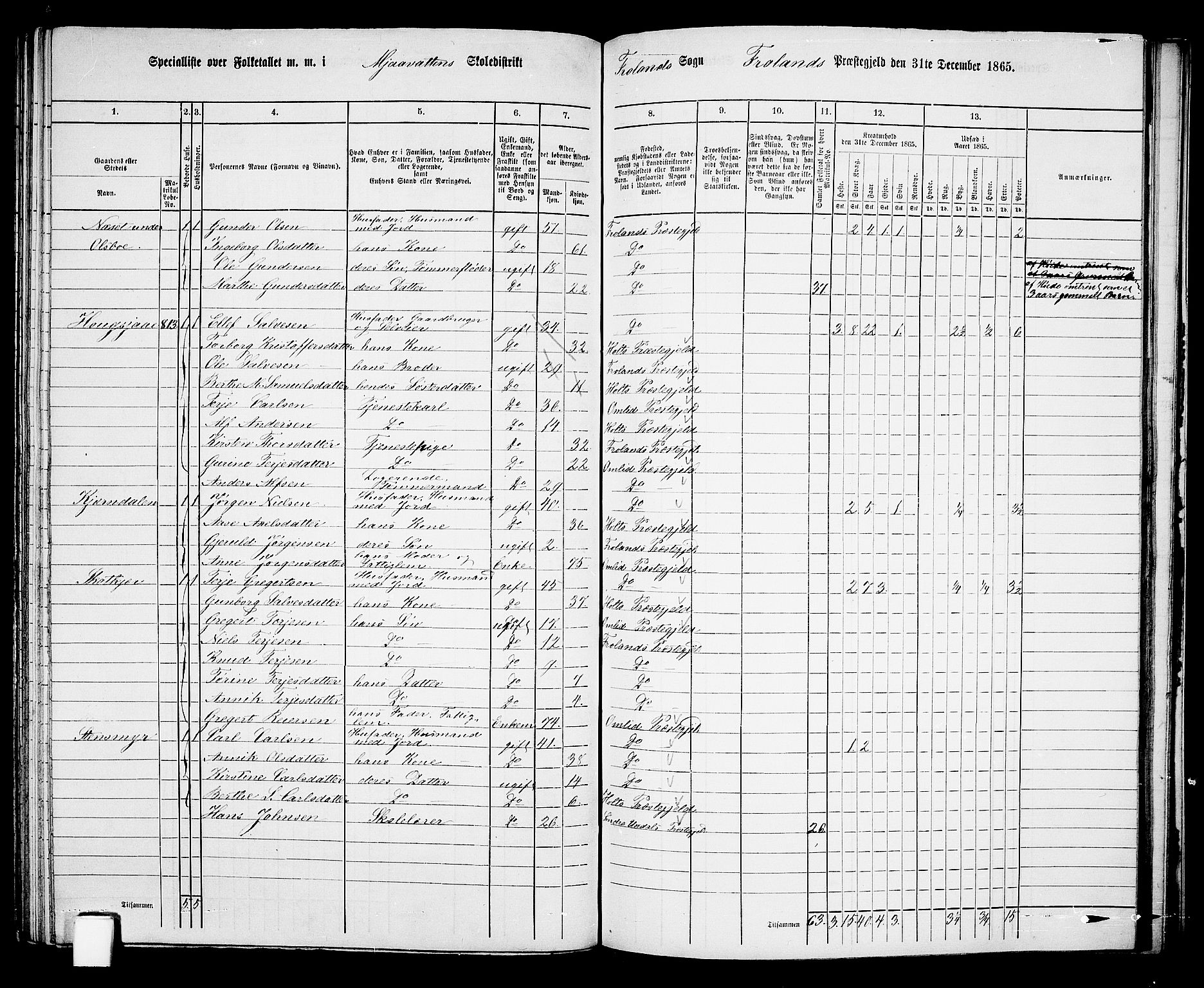 RA, 1865 census for Froland, 1865, p. 66