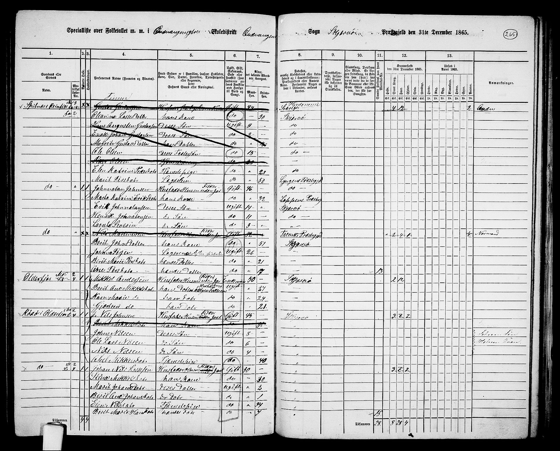 RA, 1865 census for Skjervøy, 1865, p. 141