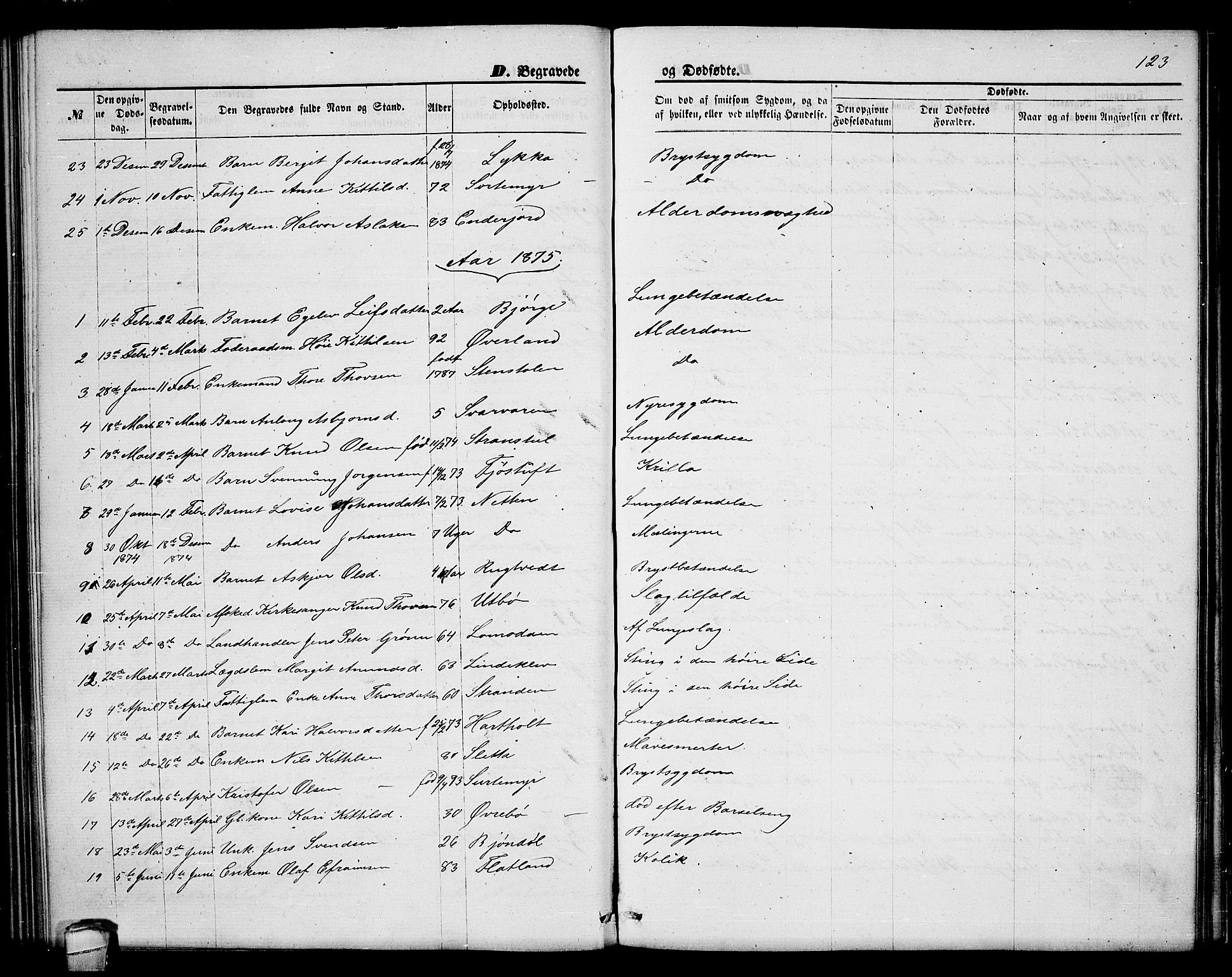 Seljord kirkebøker, AV/SAKO-A-20/G/Ga/L0004: Parish register (copy) no. I 4, 1873-1886, p. 123