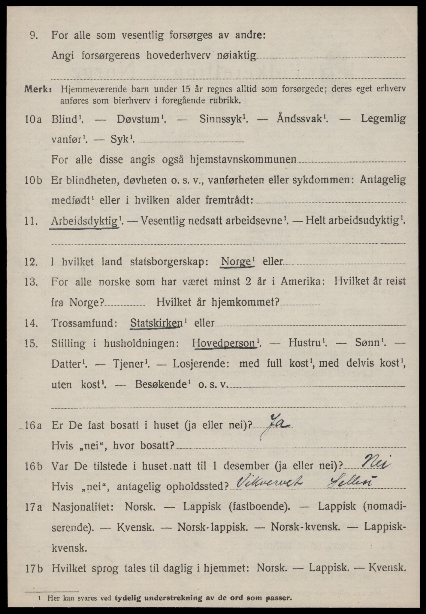 SAT, 1920 census for Selbu, 1920, p. 8495