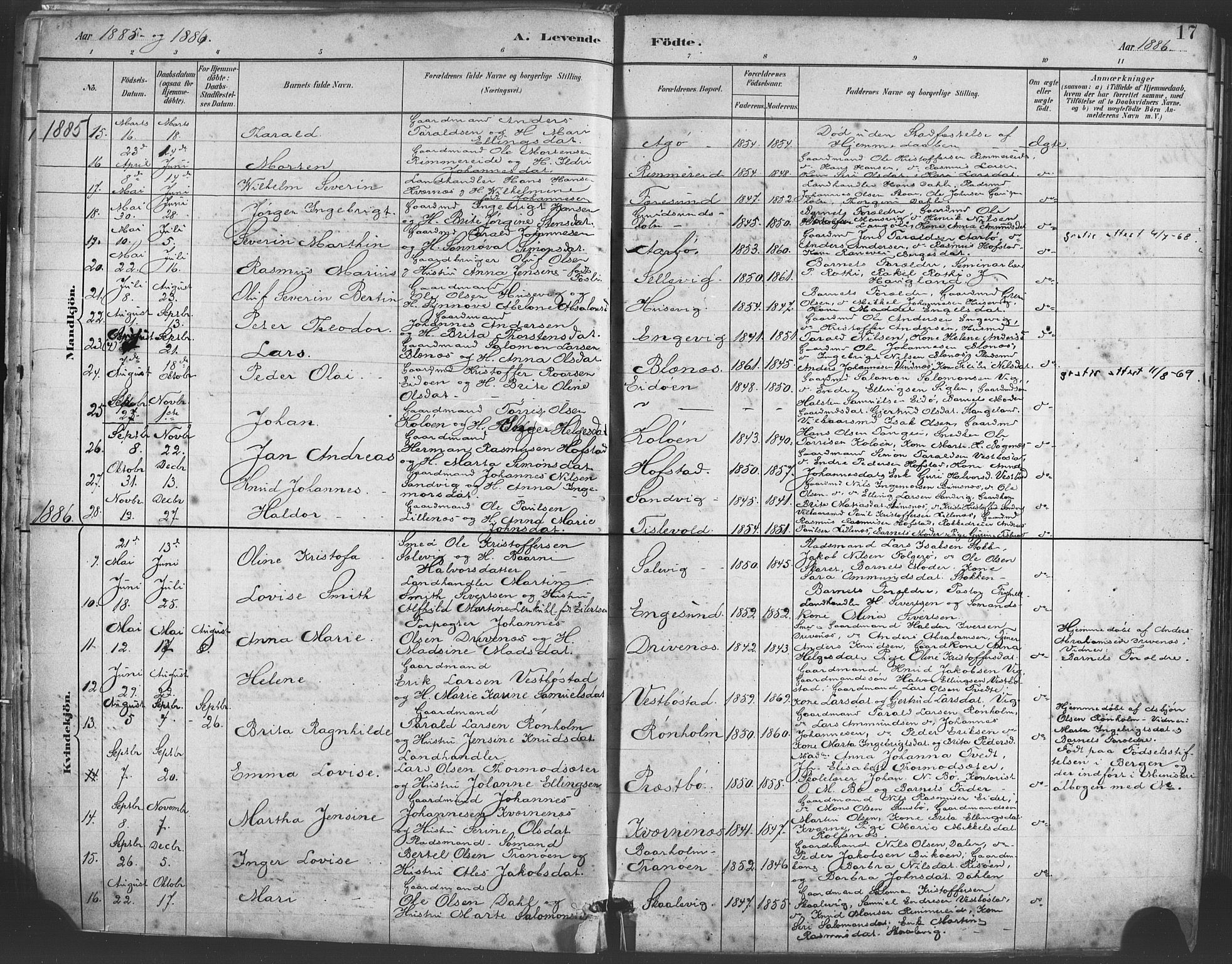 Fitjar sokneprestembete, AV/SAB-A-99926: Parish register (official) no. A 2, 1882-1899, p. 17