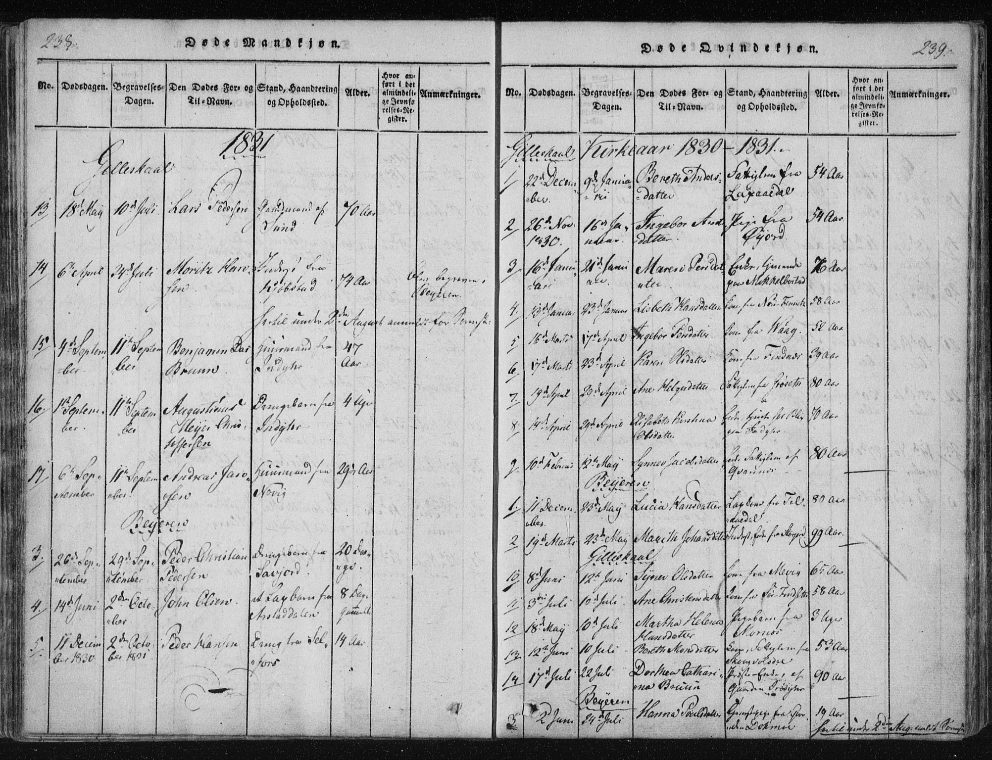 Ministerialprotokoller, klokkerbøker og fødselsregistre - Nordland, AV/SAT-A-1459/805/L0096: Parish register (official) no. 805A03, 1820-1837, p. 238-239