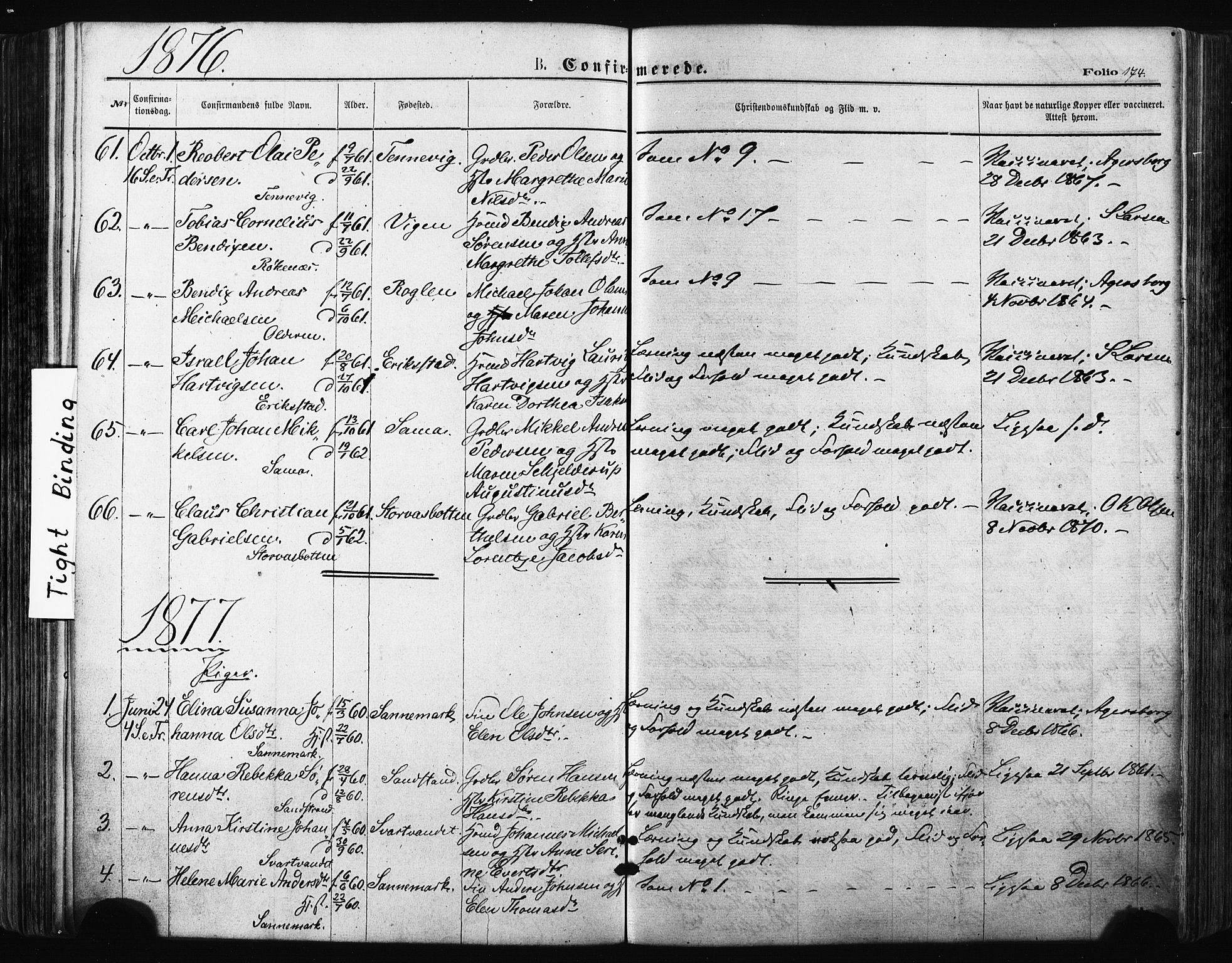 Trondenes sokneprestkontor, SATØ/S-1319/H/Ha/L0013kirke: Parish register (official) no. 13, 1870-1878, p. 174
