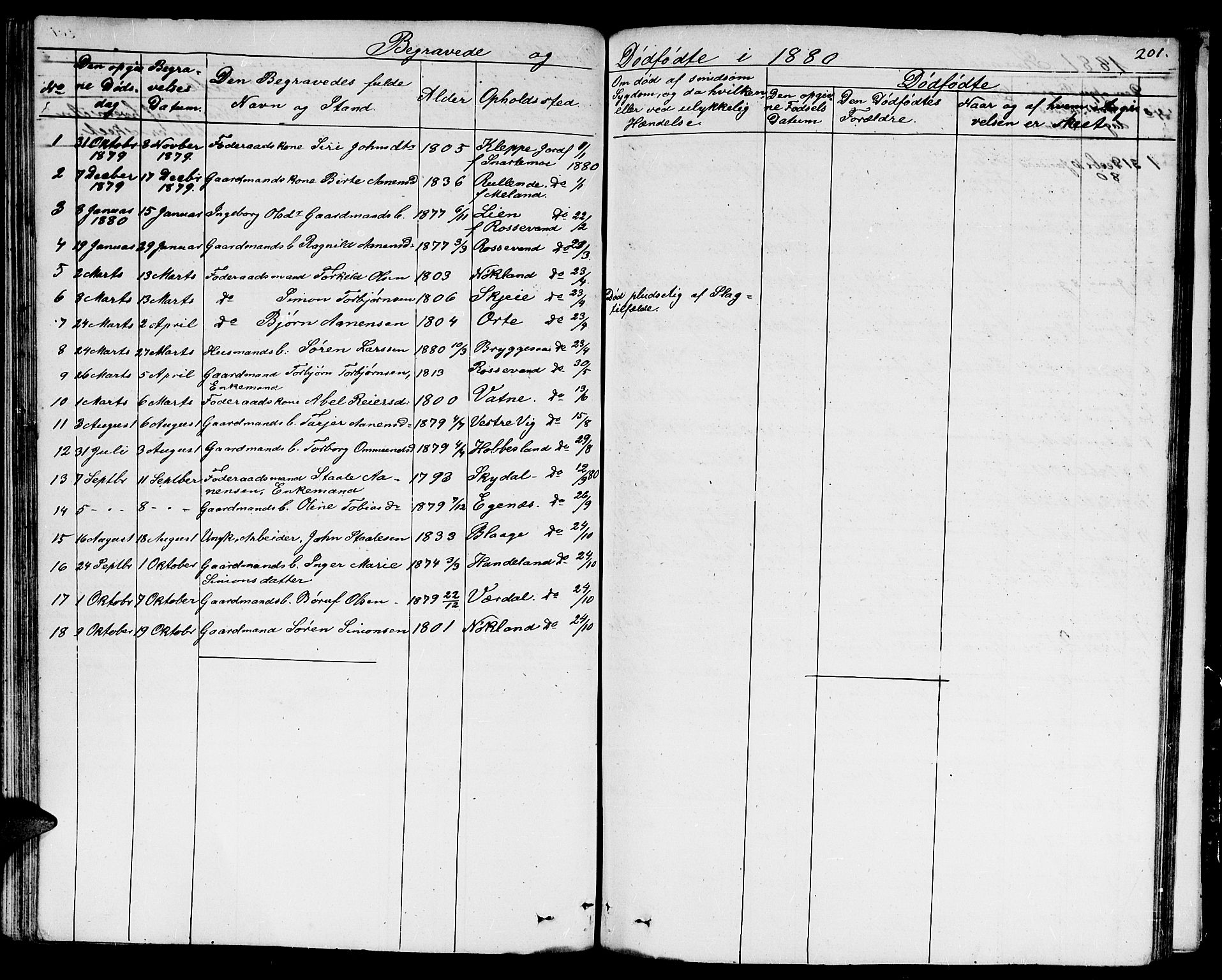 Hægebostad sokneprestkontor, AV/SAK-1111-0024/F/Fb/Fbb/L0002: Parish register (copy) no. B 2, 1851-1886, p. 201