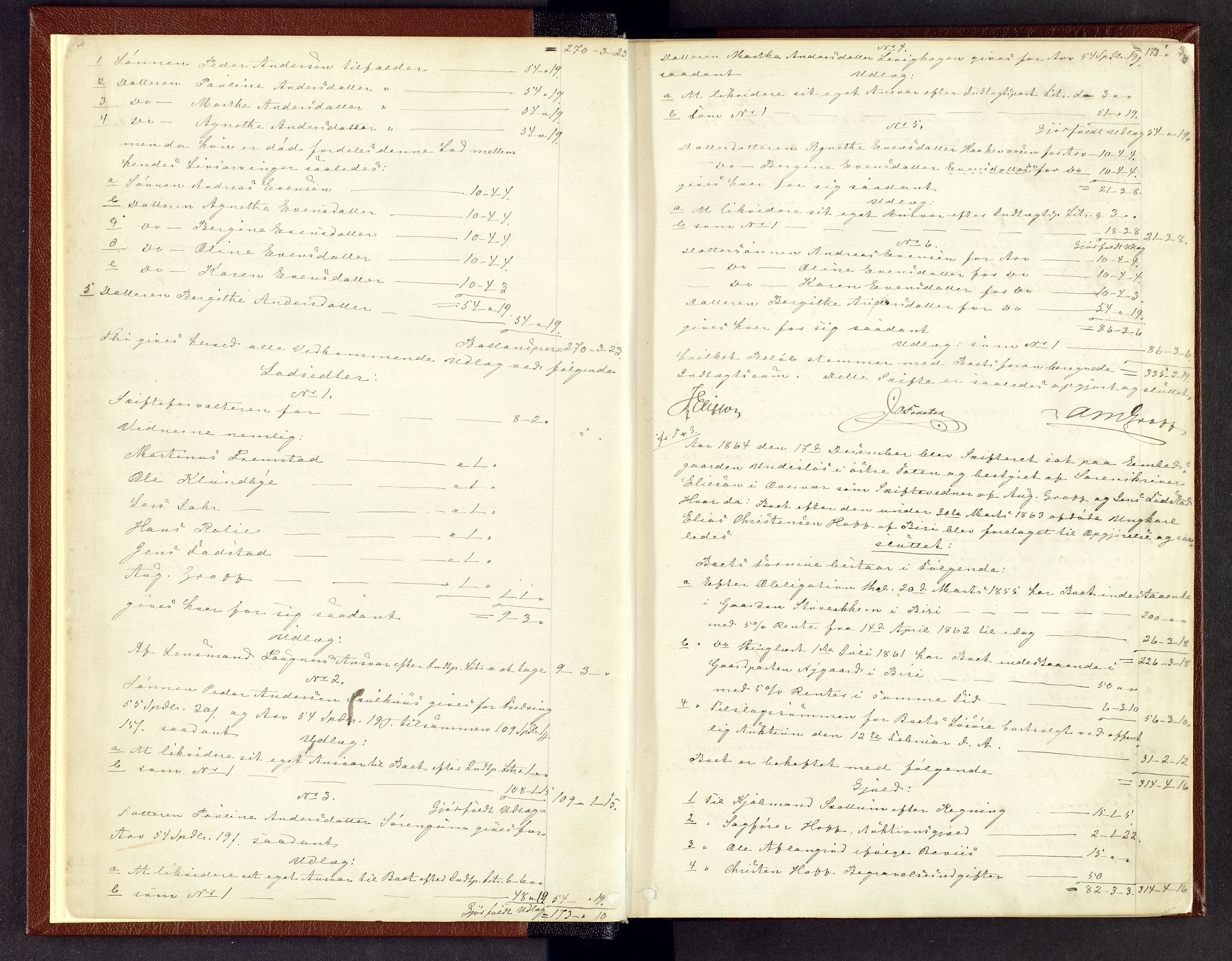 Toten tingrett, AV/SAH-TING-006/J/Jb/L0006: Skiftebehandlingsprotokoll - Biri, 1864-1903, p. 2b-3a
