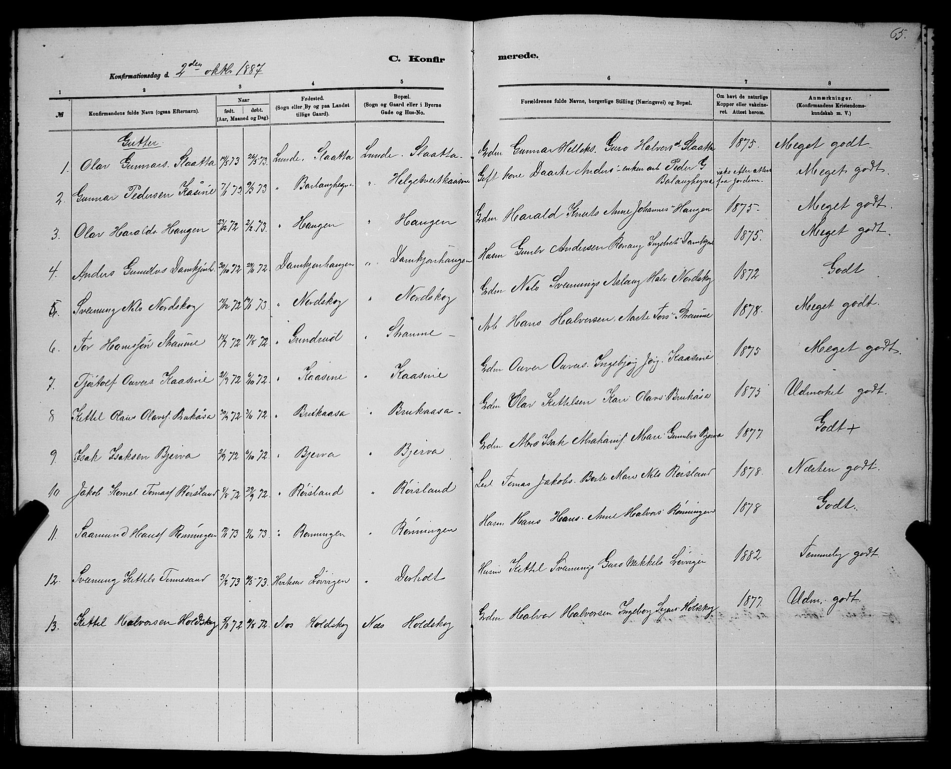 Lunde kirkebøker, SAKO/A-282/G/Ga/L0001b: Parish register (copy) no. I 1, 1879-1887, p. 65