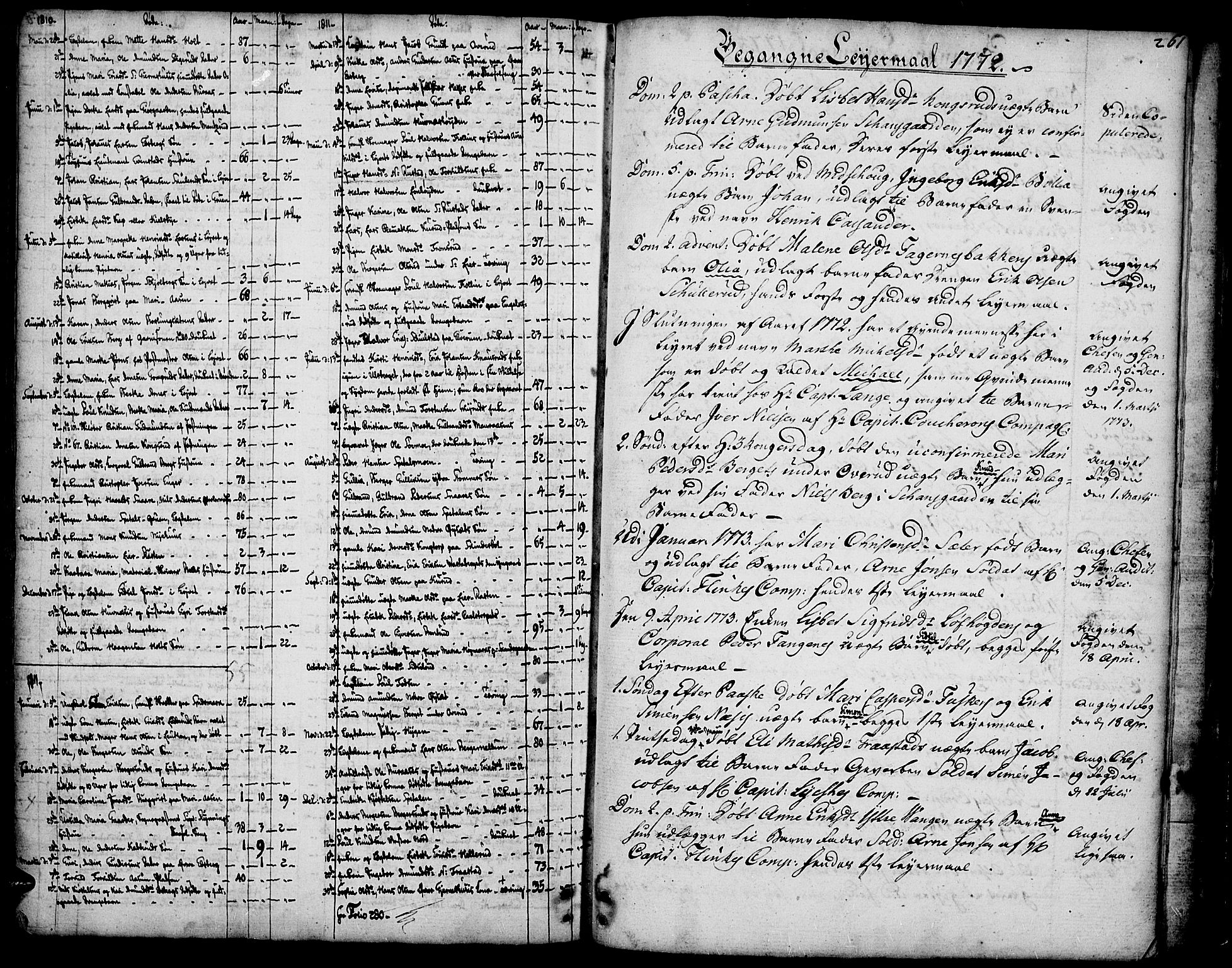 Vinger prestekontor, SAH/PREST-024/H/Ha/Haa/L0005: Parish register (official) no. 5, 1772-1813, p. 261