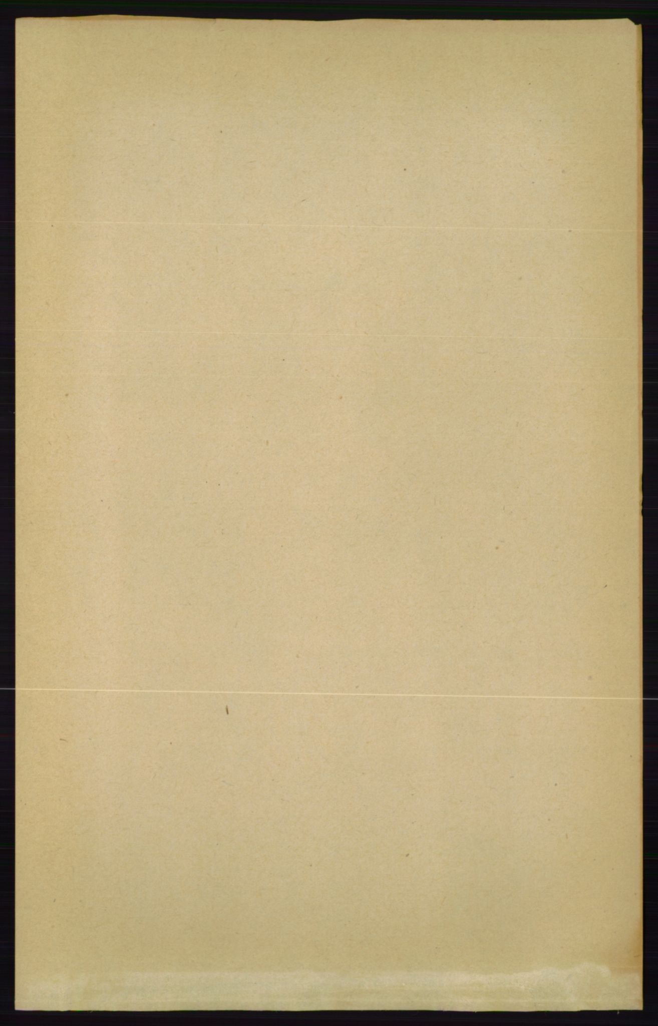 RA, 1891 census for 0822 Sauherad, 1891, p. 2028