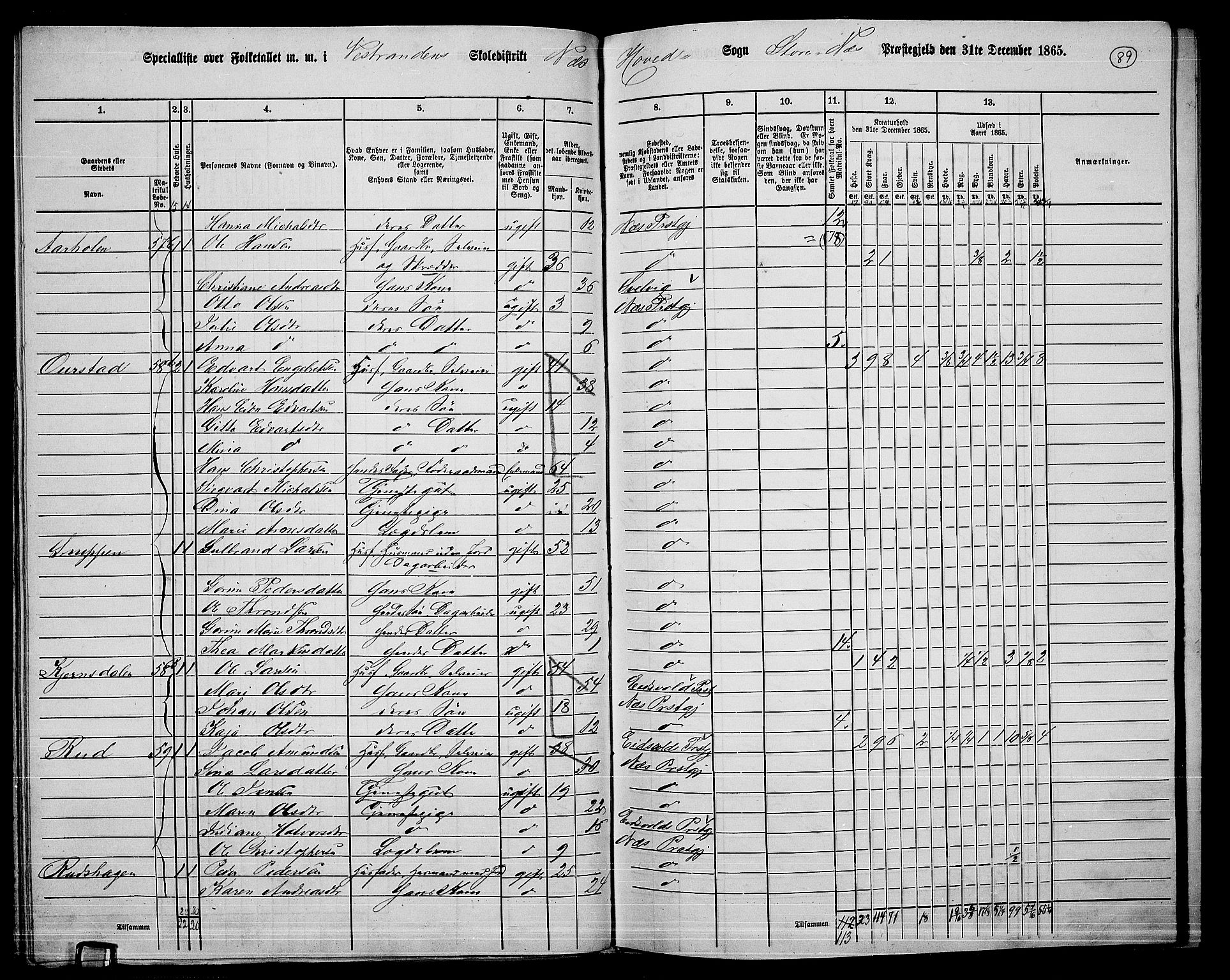 RA, 1865 census for Nes, 1865, p. 81