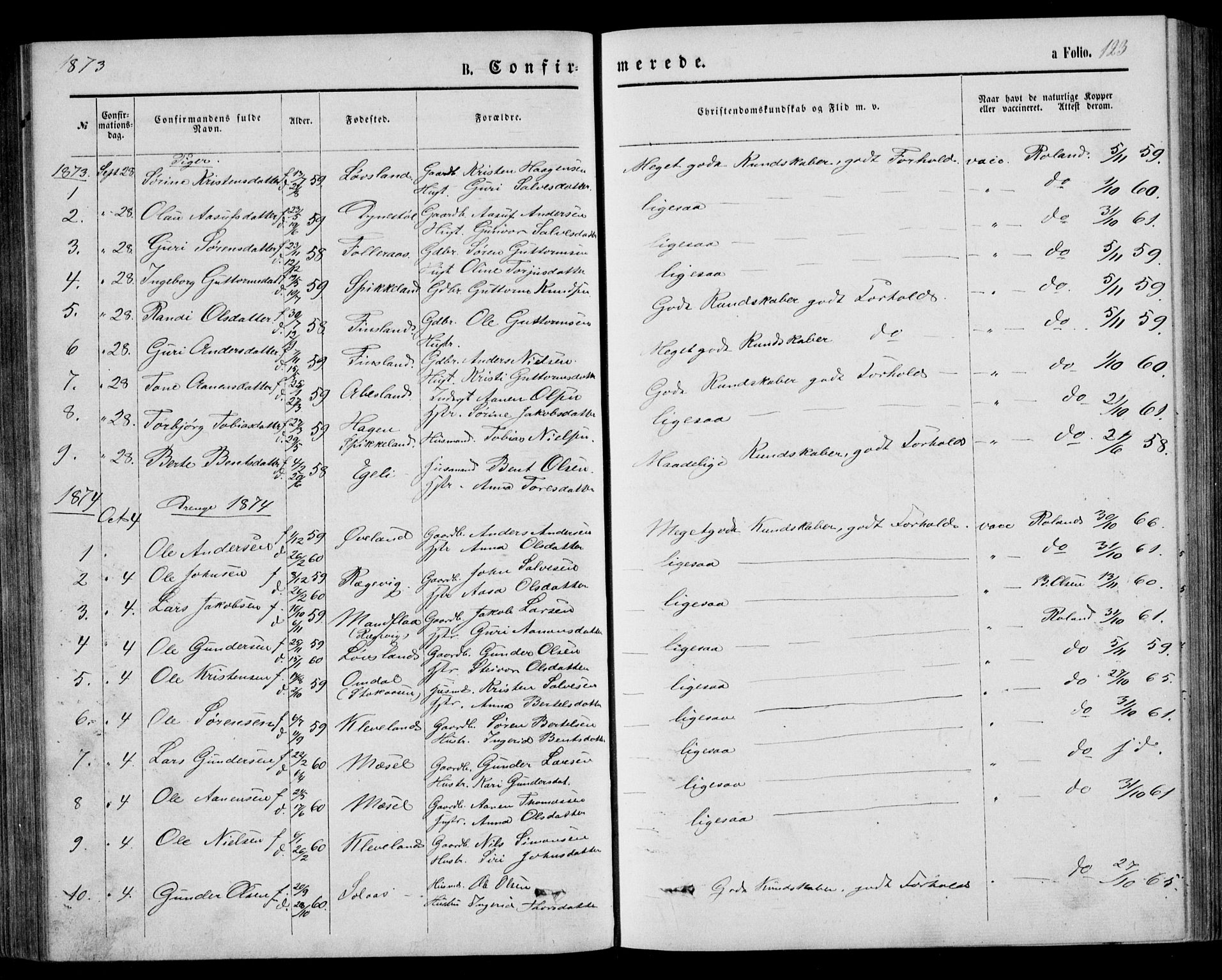 Bjelland sokneprestkontor, SAK/1111-0005/F/Fb/Fbb/L0004: Parish register (copy) no. B 4, 1867-1887, p. 123