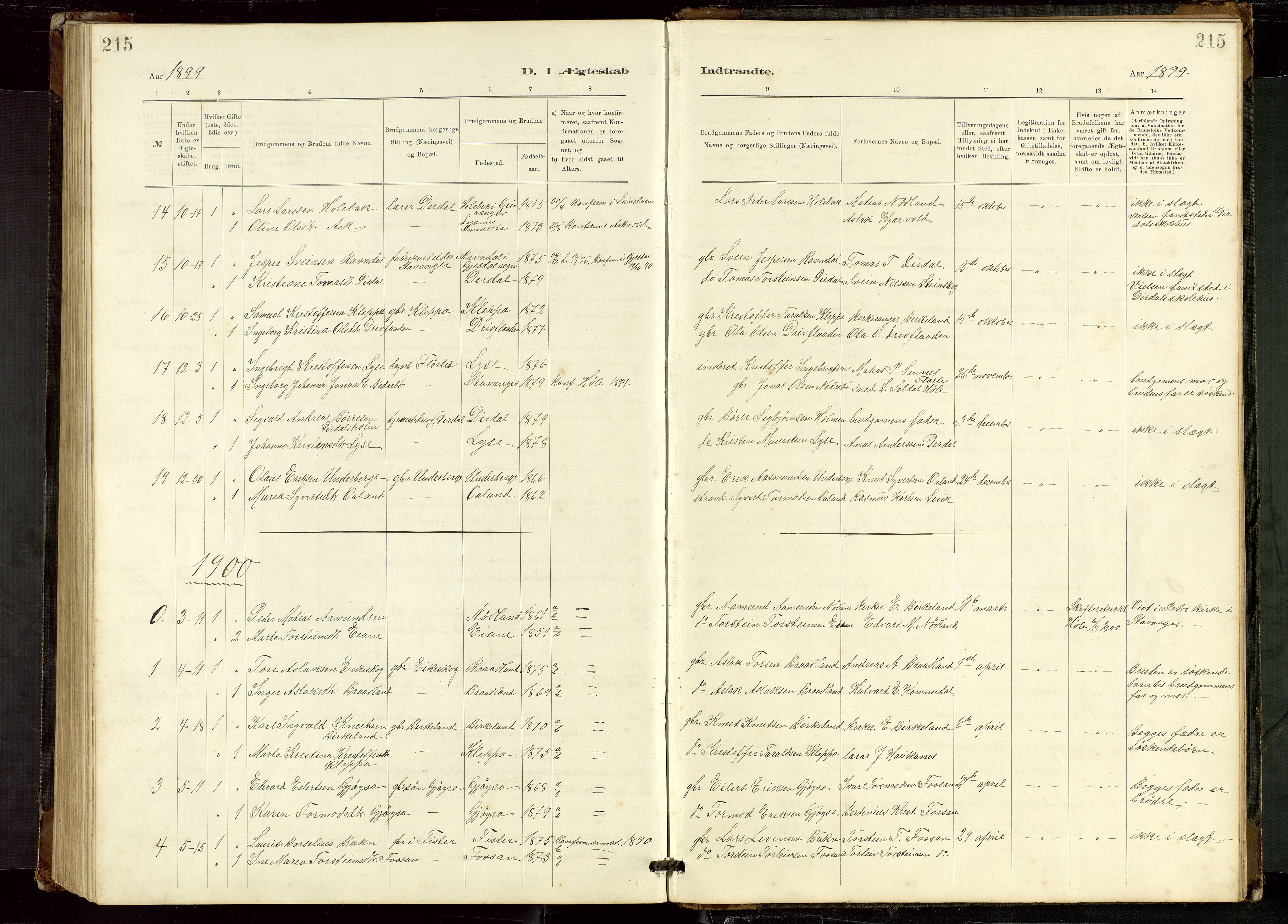 Høgsfjord sokneprestkontor, AV/SAST-A-101624/H/Ha/Hab/L0009: Parish register (copy) no. B 9, 1883-1920, p. 215