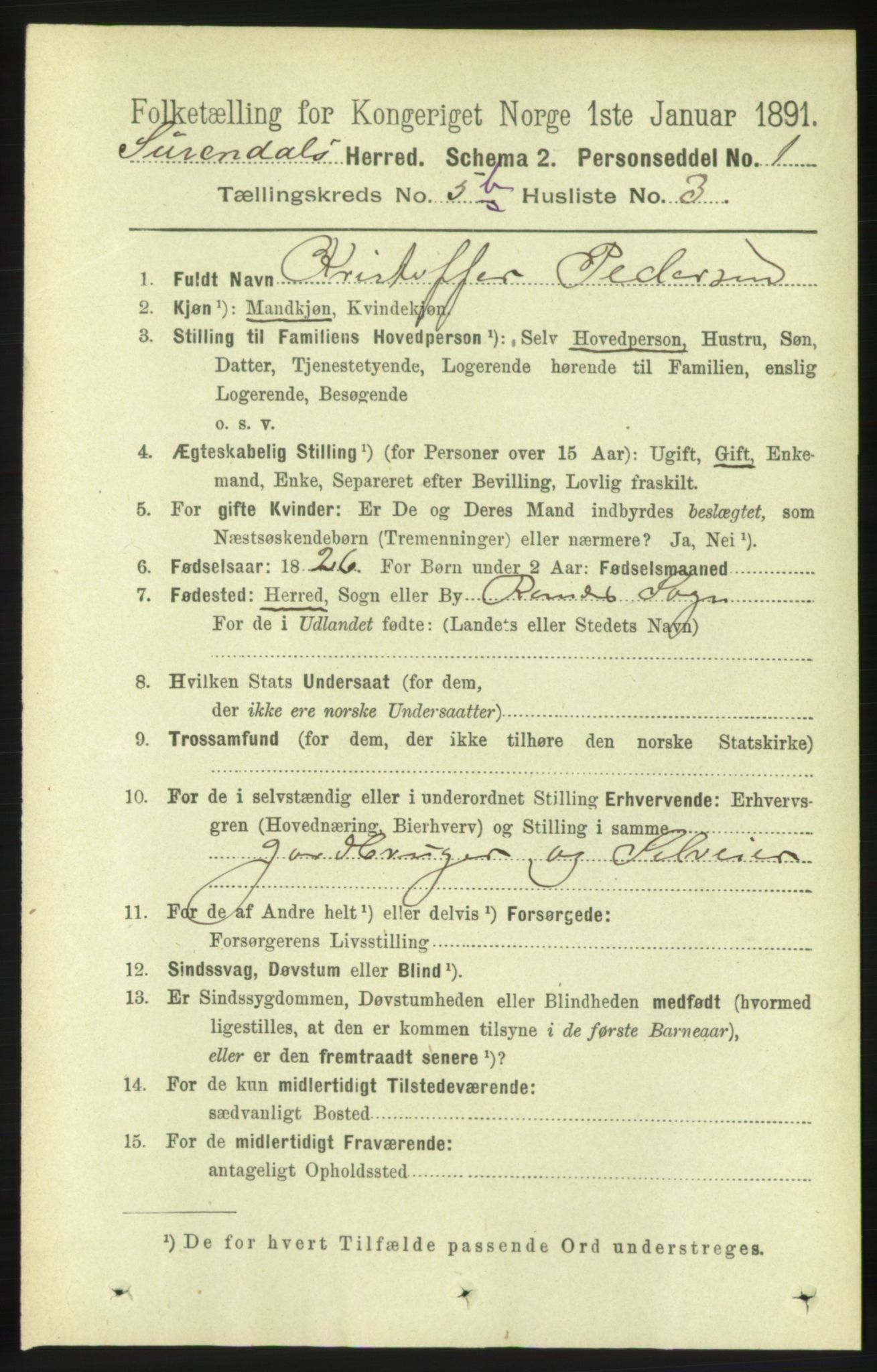 RA, 1891 census for 1566 Surnadal, 1891, p. 1502