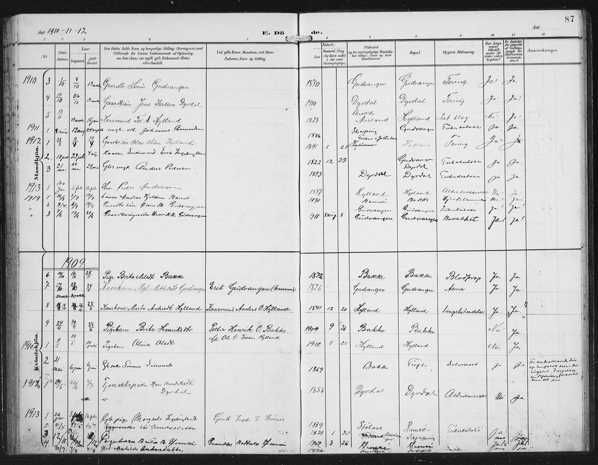 Aurland sokneprestembete, SAB/A-99937/H/Hb/Hbc/L0003: Parish register (copy) no. C 3, 1901-1933, p. 87