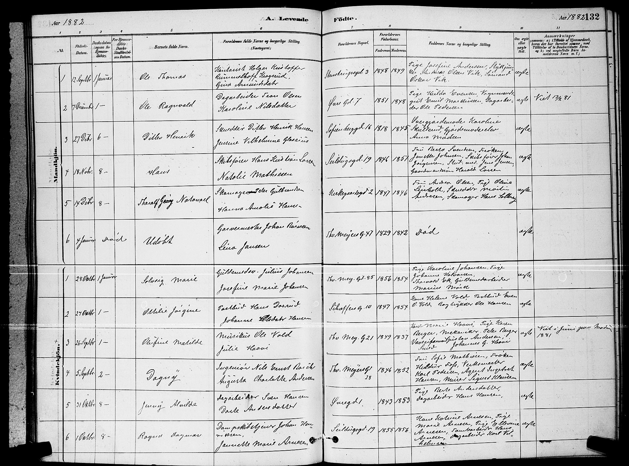 Paulus prestekontor Kirkebøker, AV/SAO-A-10871/G/Ga/L0002: Parish register (copy) no. 2, 1879-1887, p. 132