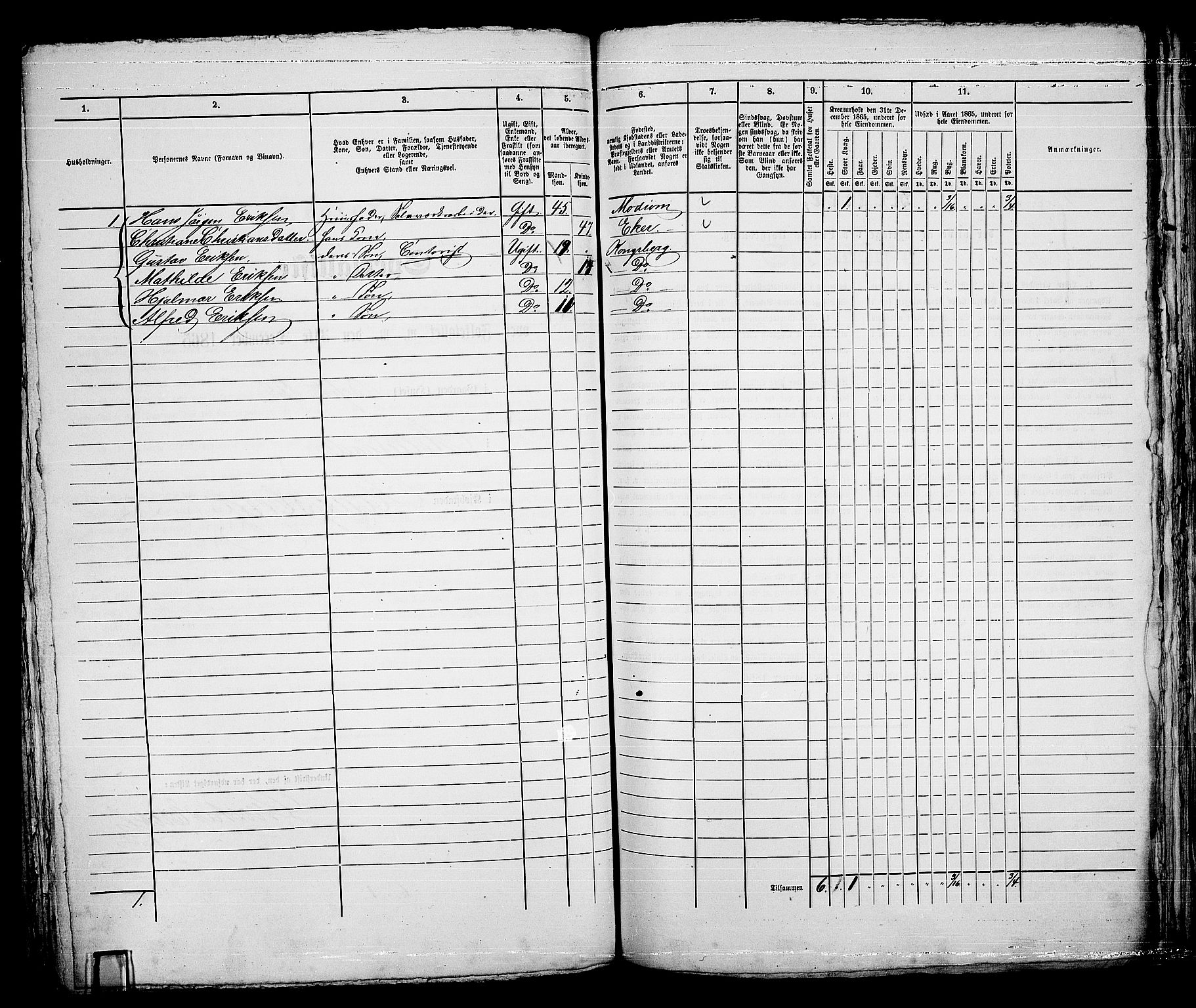 RA, 1865 census for Kongsberg/Kongsberg, 1865, p. 335