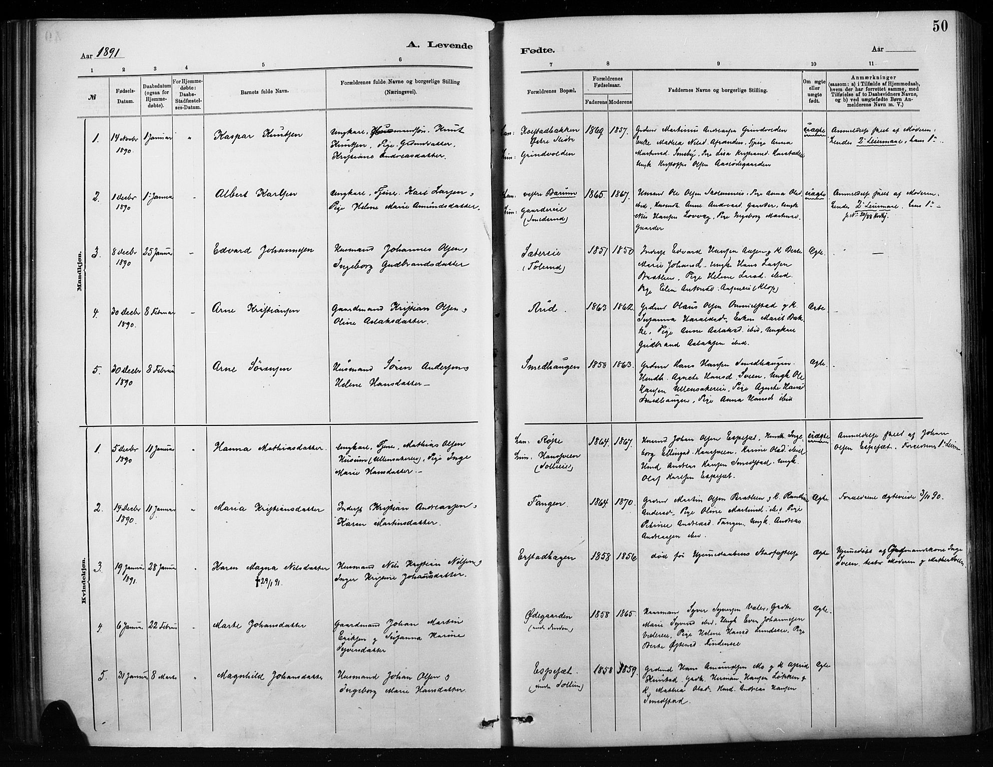 Nordre Land prestekontor, SAH/PREST-124/H/Ha/Haa/L0004: Parish register (official) no. 4, 1882-1896, p. 50