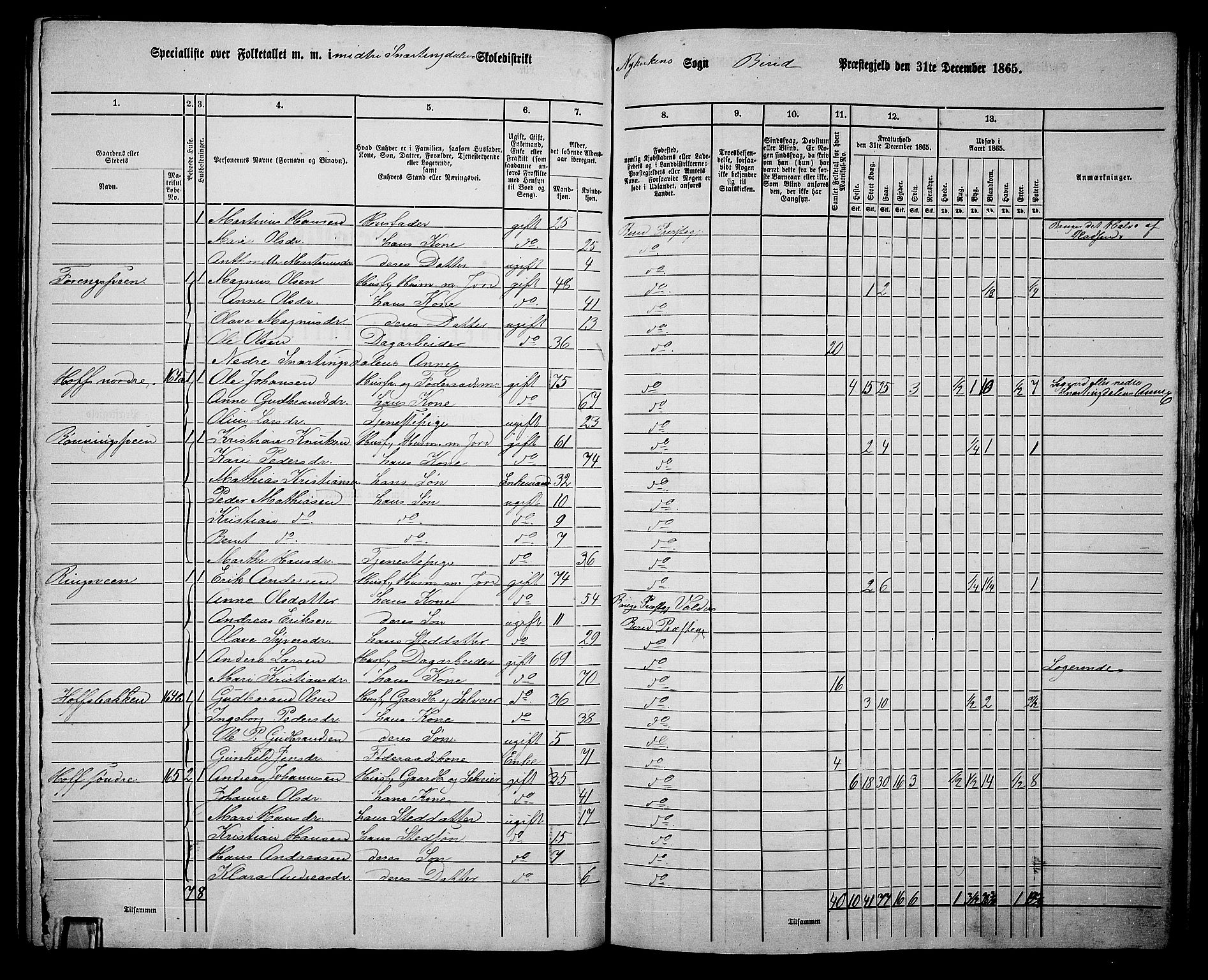 RA, 1865 census for Biri, 1865, p. 154