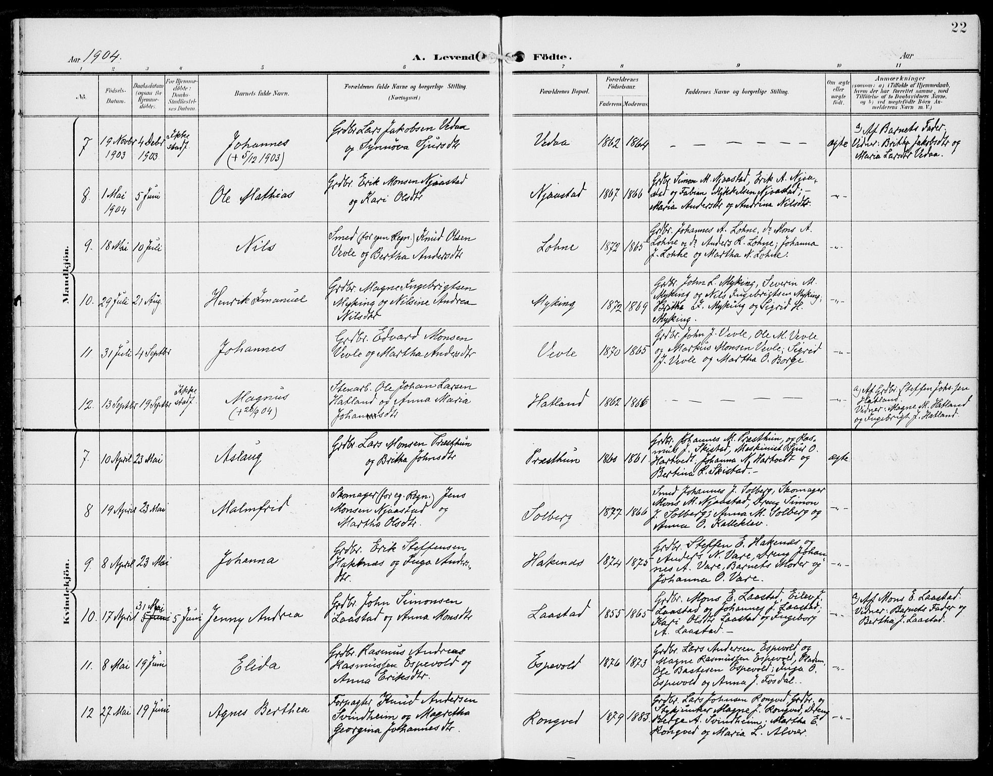 Haus sokneprestembete, AV/SAB-A-75601/H/Haa: Parish register (official) no. C  2, 1900-1915, p. 22