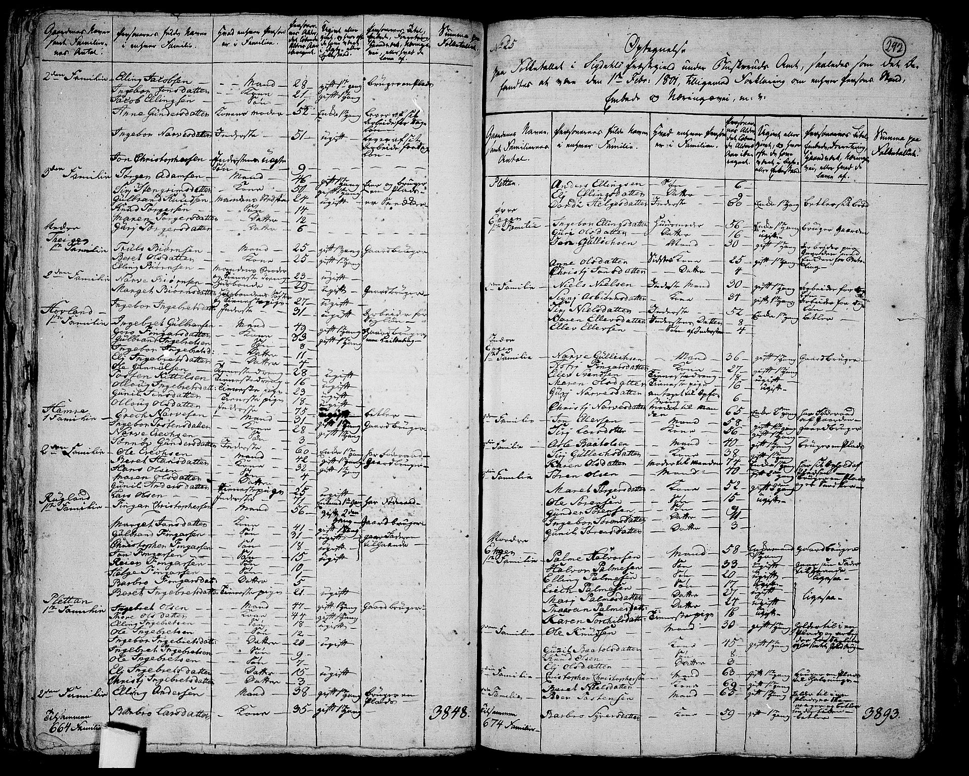 RA, 1801 census for 0621P Sigdal, 1801, p. 291b-292a