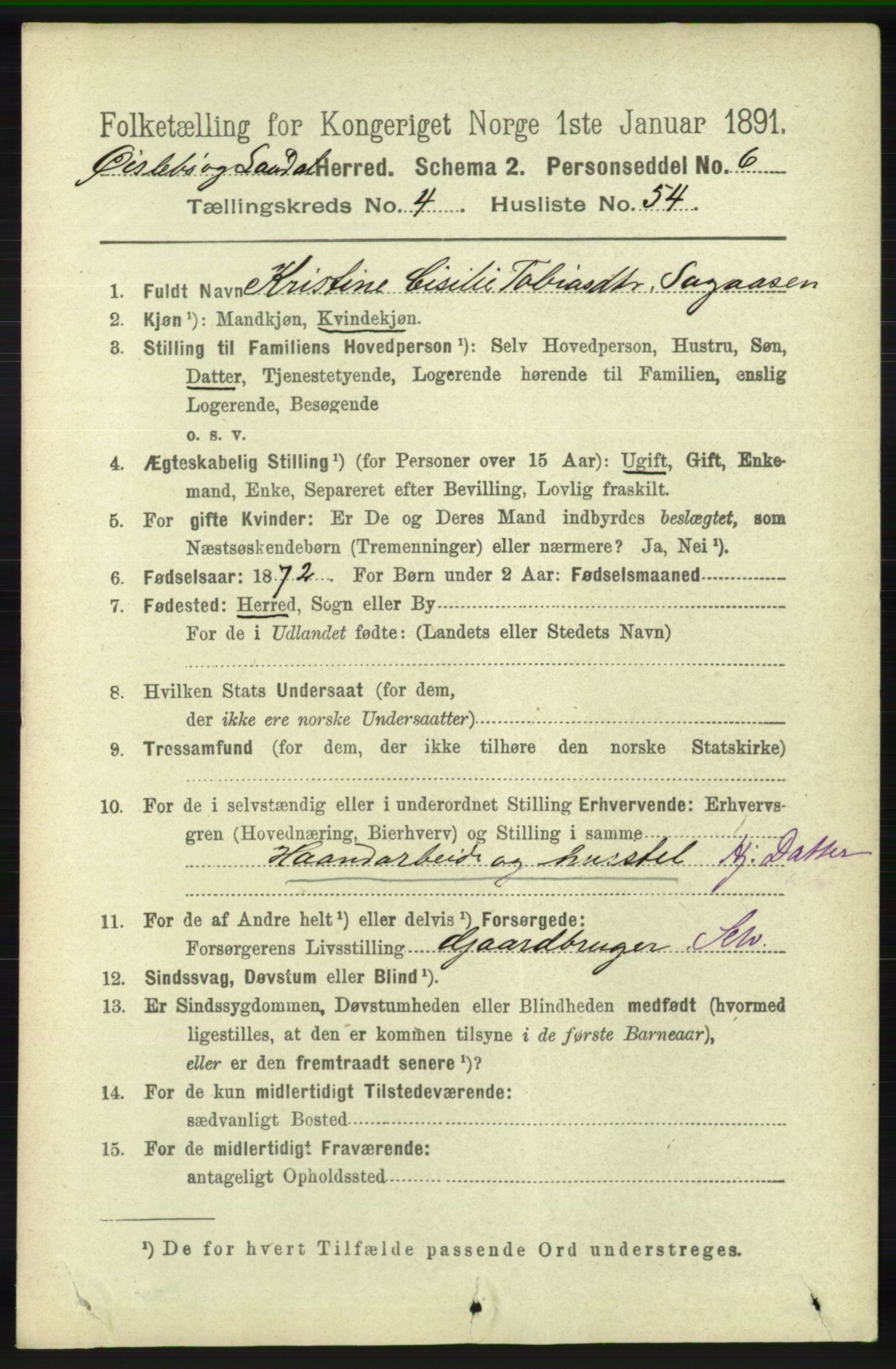 RA, 1891 census for 1021 Øyslebø og Laudal, 1891, p. 1273