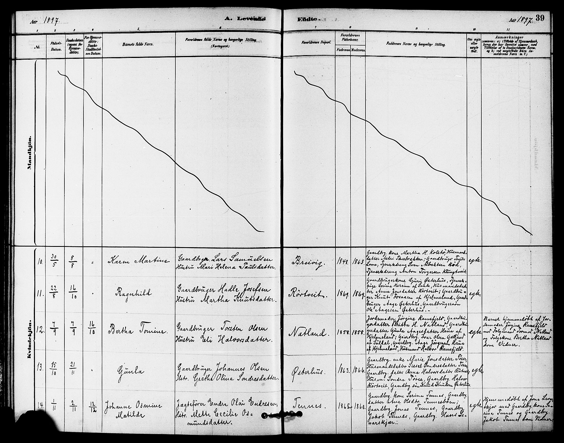 Jelsa sokneprestkontor, AV/SAST-A-101842/01/IV: Parish register (official) no. A 9, 1878-1898, p. 39