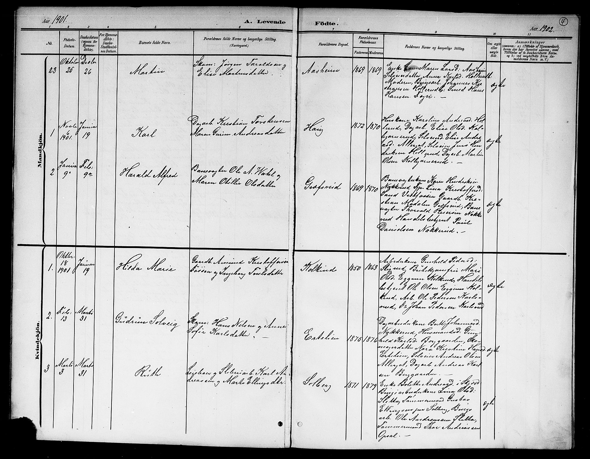 Hole kirkebøker, SAKO/A-228/G/Gb/L0004: Parish register (copy) no. II 4, 1901-1916, p. 4