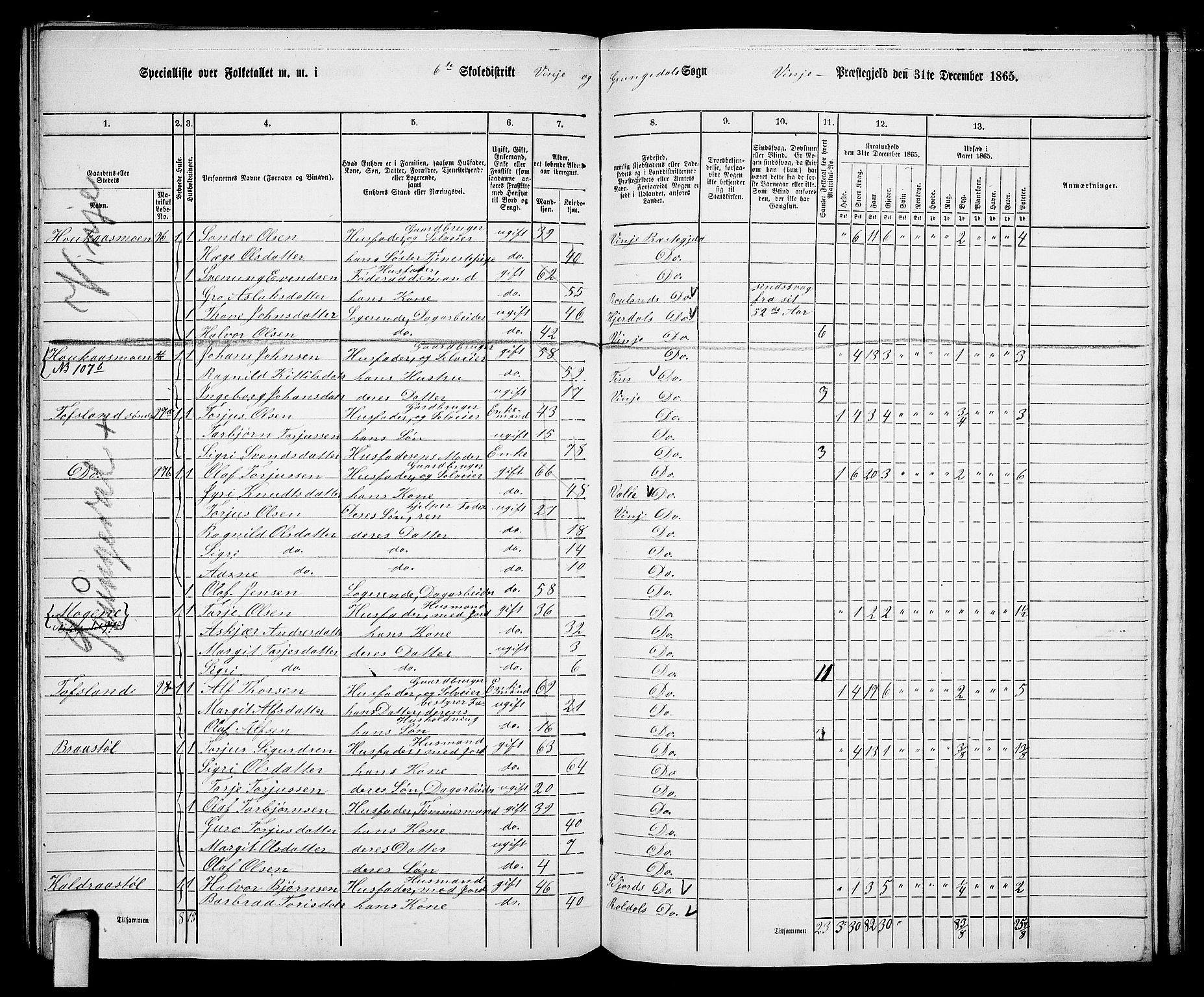 RA, 1865 census for Vinje, 1865, p. 60