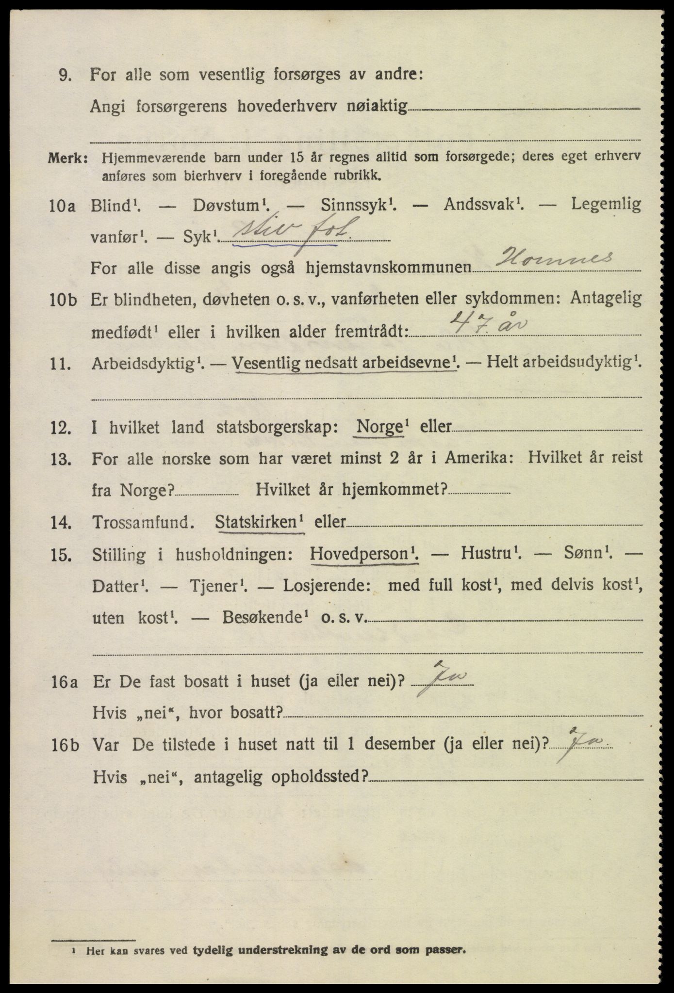 SAK, 1920 census for Hornnes, 1920, p. 1348