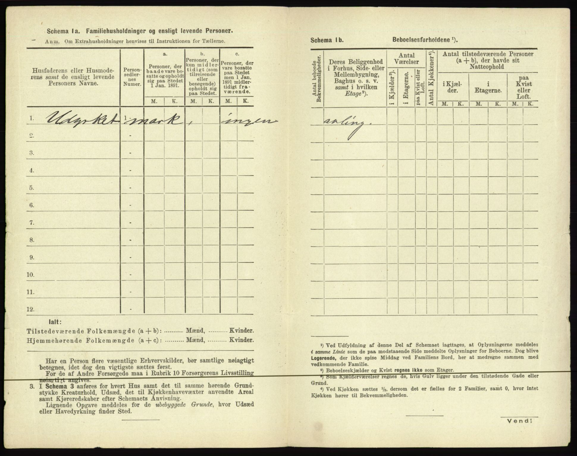 RA, 1891 census for 0501 Lillehammer, 1891, p. 208