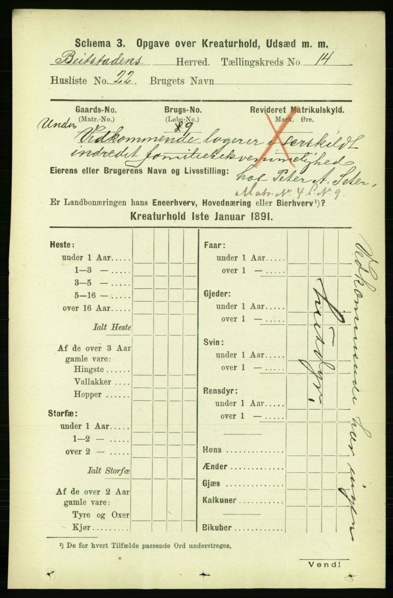 RA, 1891 census for 1727 Beitstad, 1891, p. 6595