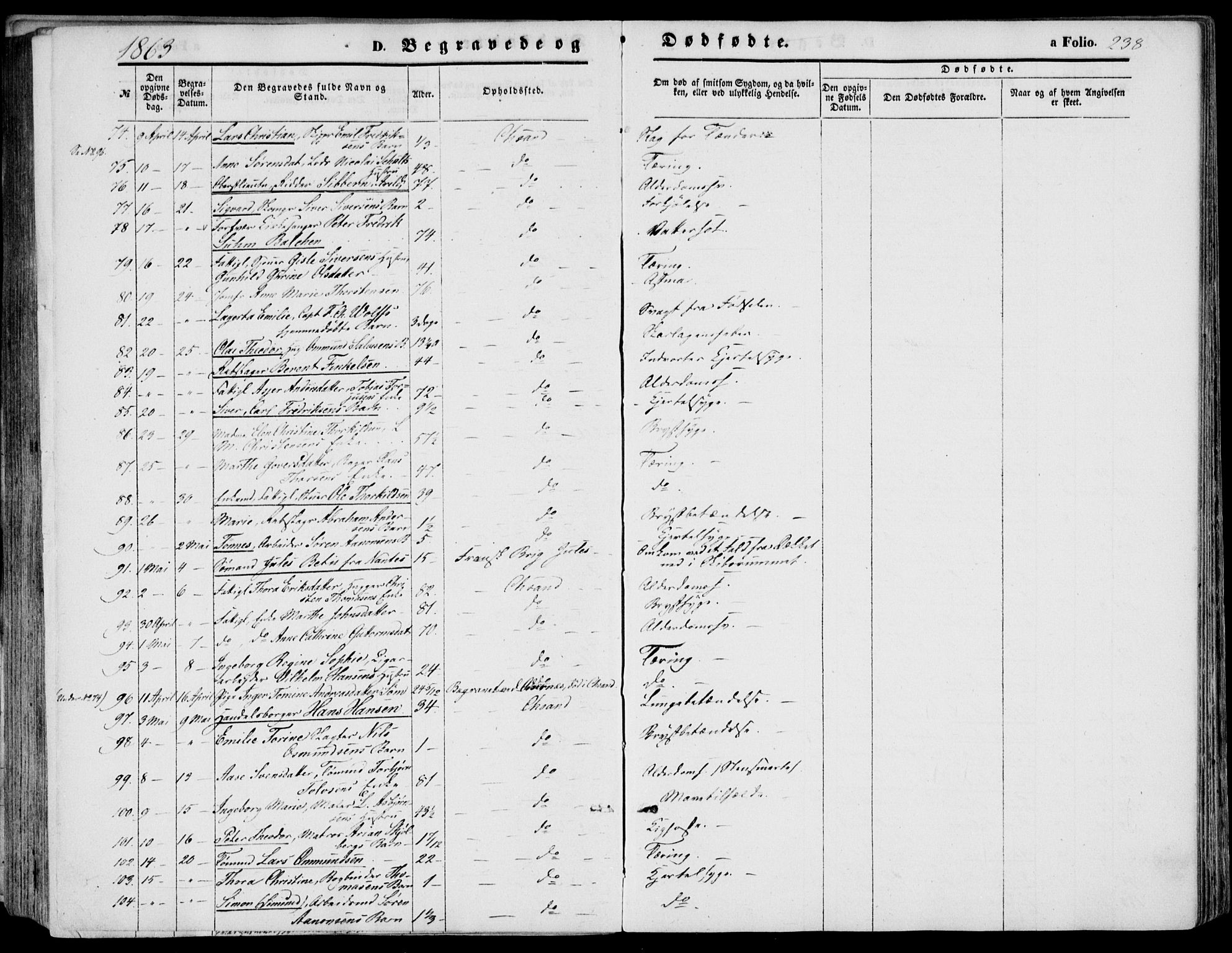 Kristiansand domprosti, SAK/1112-0006/F/Fb/L0012: Parish register (copy) no. B 12, 1861-1870, p. 238