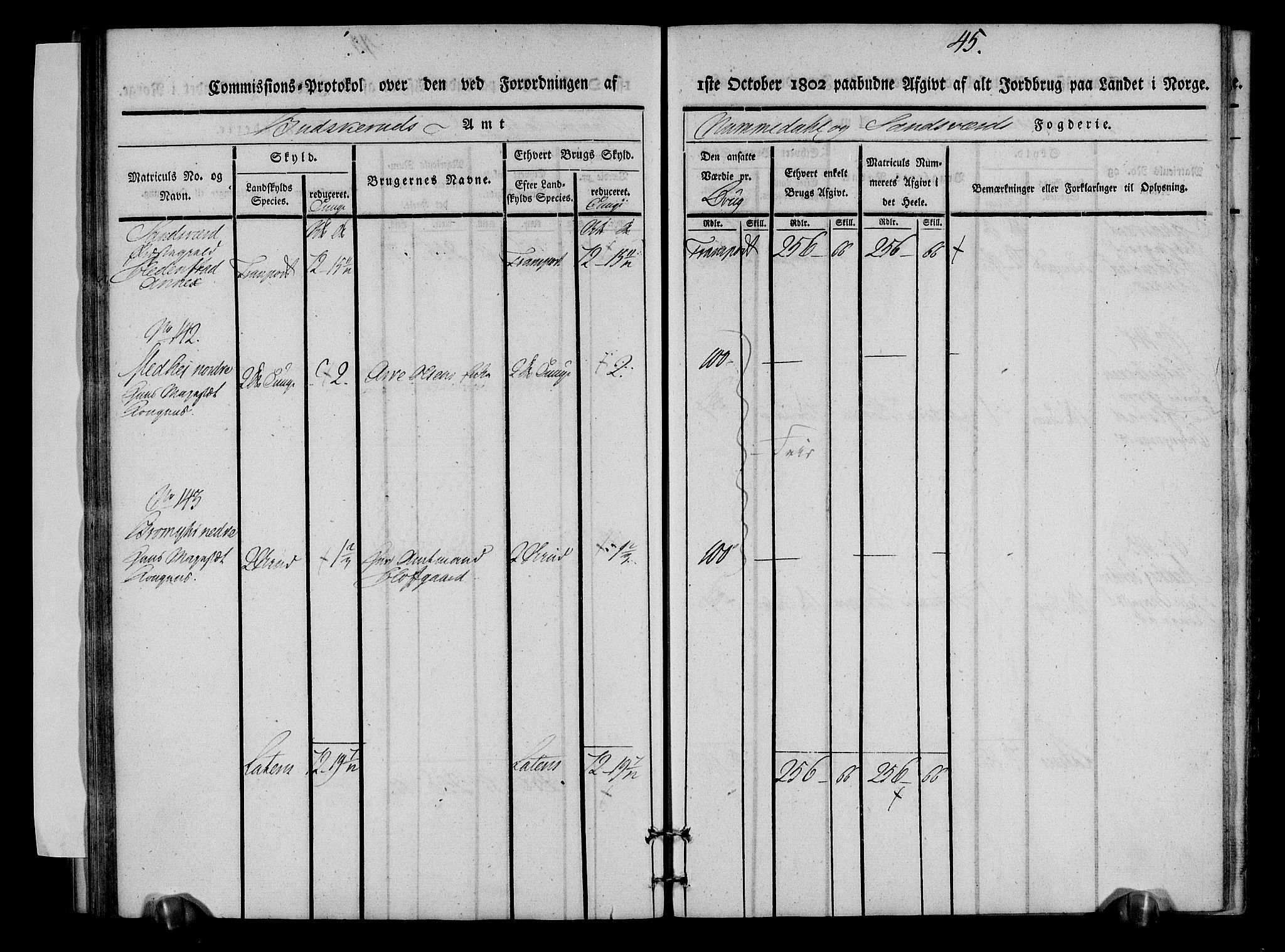 Rentekammeret inntil 1814, Realistisk ordnet avdeling, AV/RA-EA-4070/N/Ne/Nea/L0053: Numedal og Sandsvær fogderi. Kommisjonsprotokoll over matrikulerte jordbruk i Hedenstad anneks, 1803, p. 46
