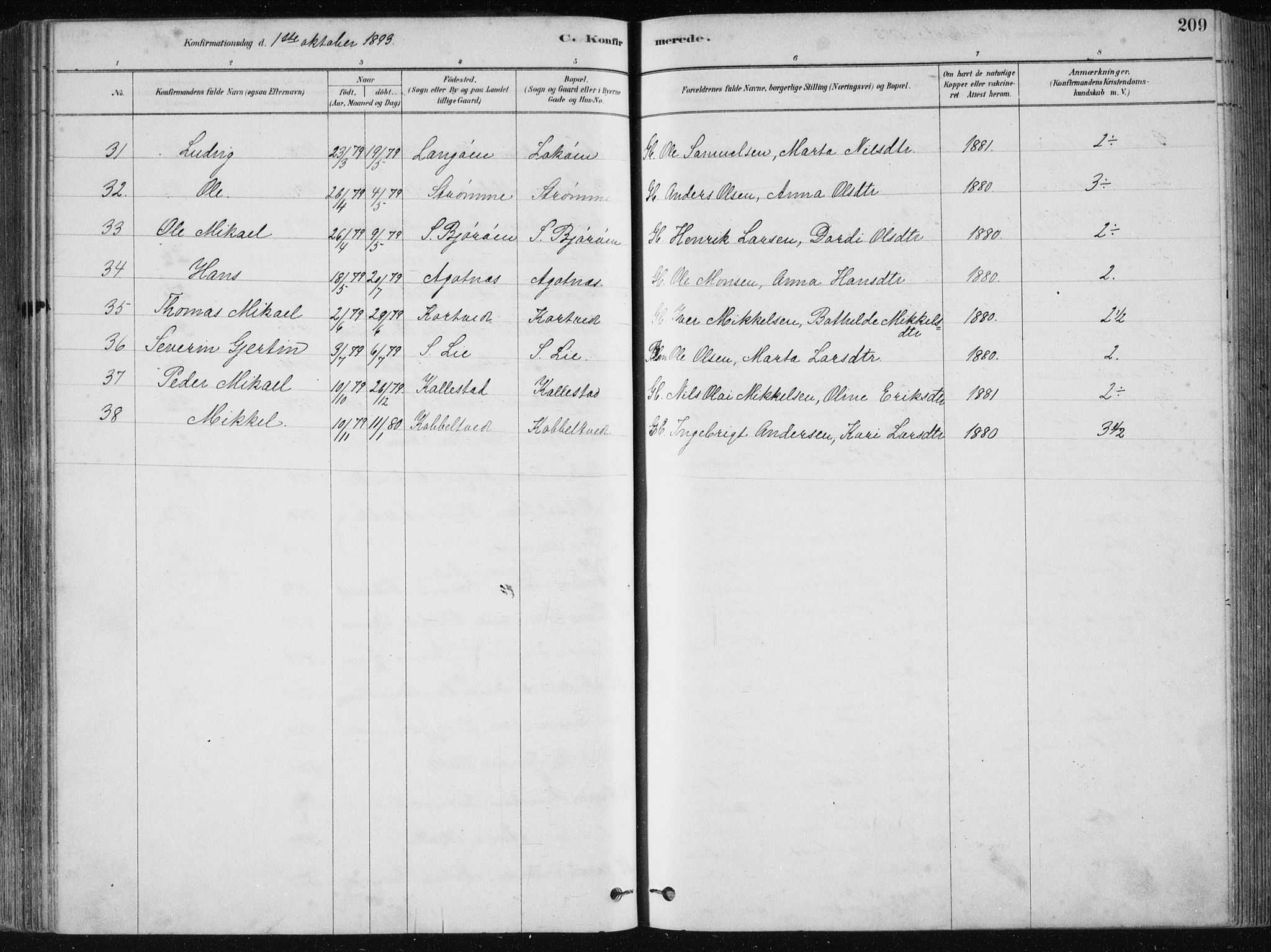 Fjell sokneprestembete, SAB/A-75301/H/Haa: Parish register (official) no. A  8, 1878-1898, p. 209