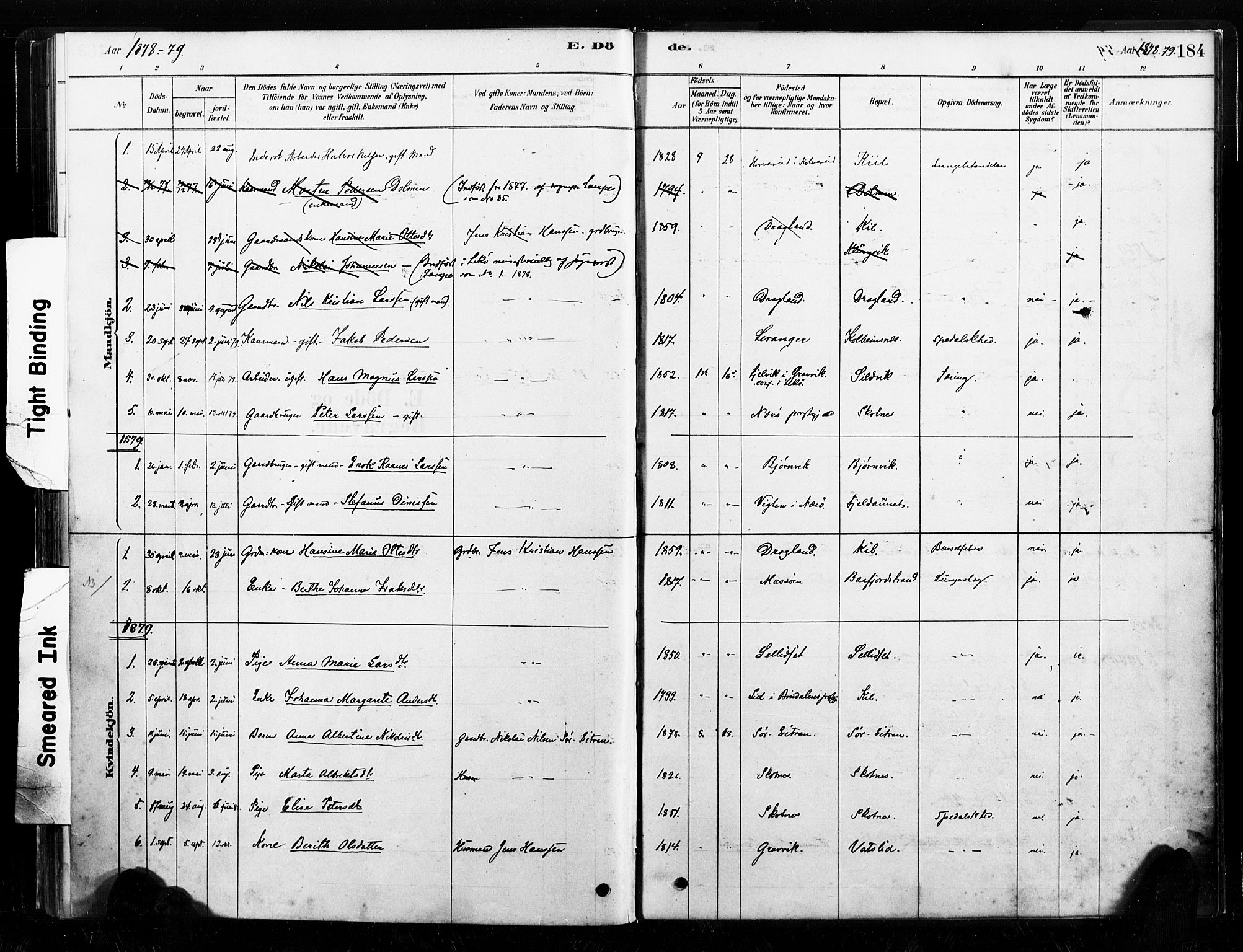 Ministerialprotokoller, klokkerbøker og fødselsregistre - Nord-Trøndelag, AV/SAT-A-1458/789/L0705: Parish register (official) no. 789A01, 1878-1910, p. 184