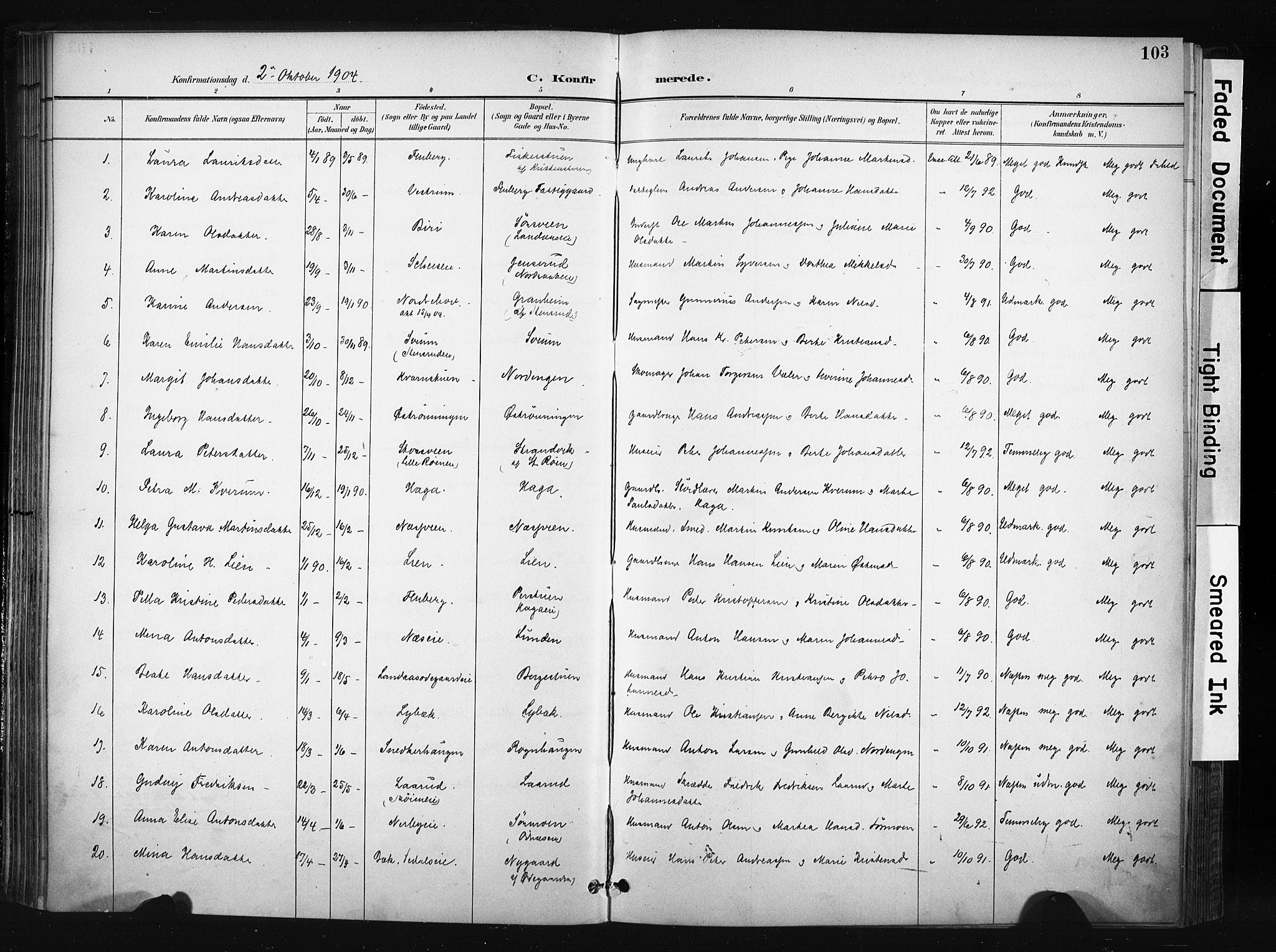 Søndre Land prestekontor, AV/SAH-PREST-122/K/L0004: Parish register (official) no. 4, 1895-1904, p. 103